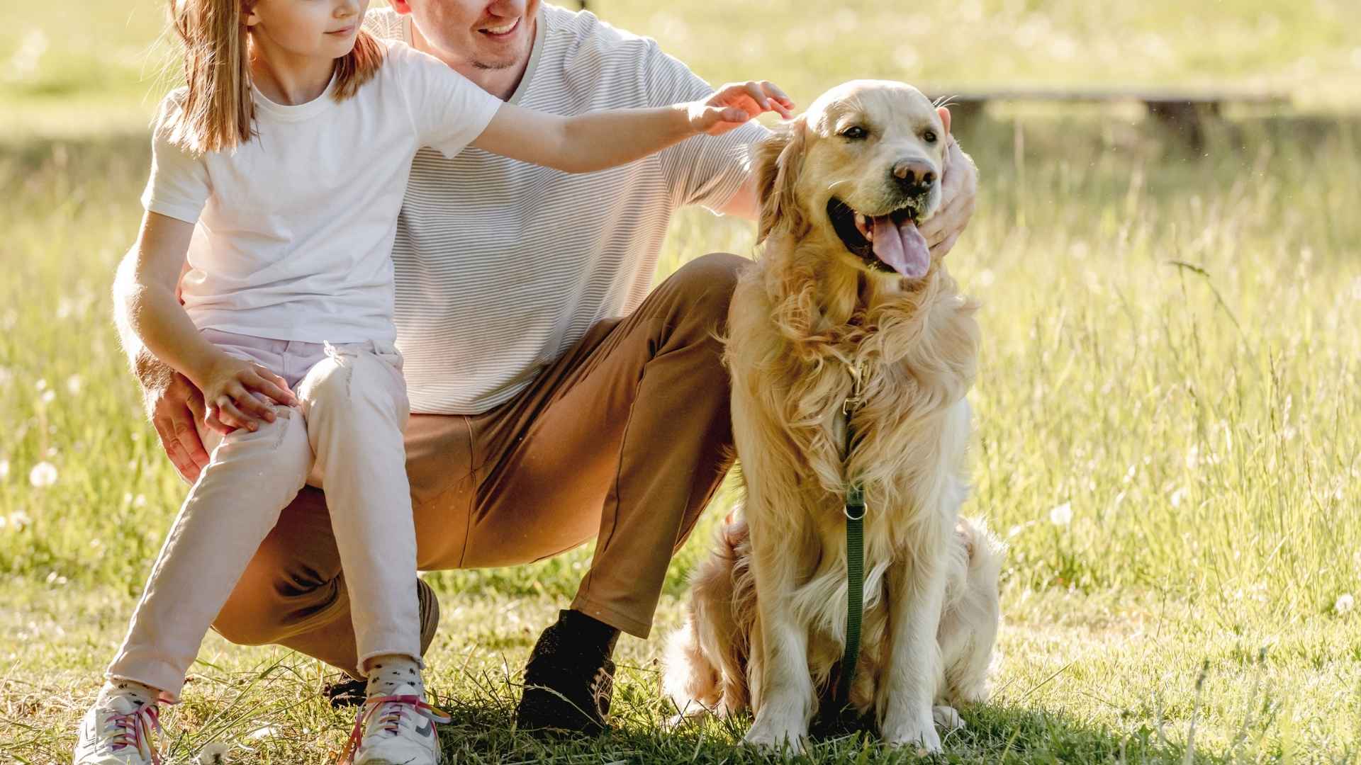 9 Best Dog Breeds for Families That Are Easy to Train, Love, and Live With