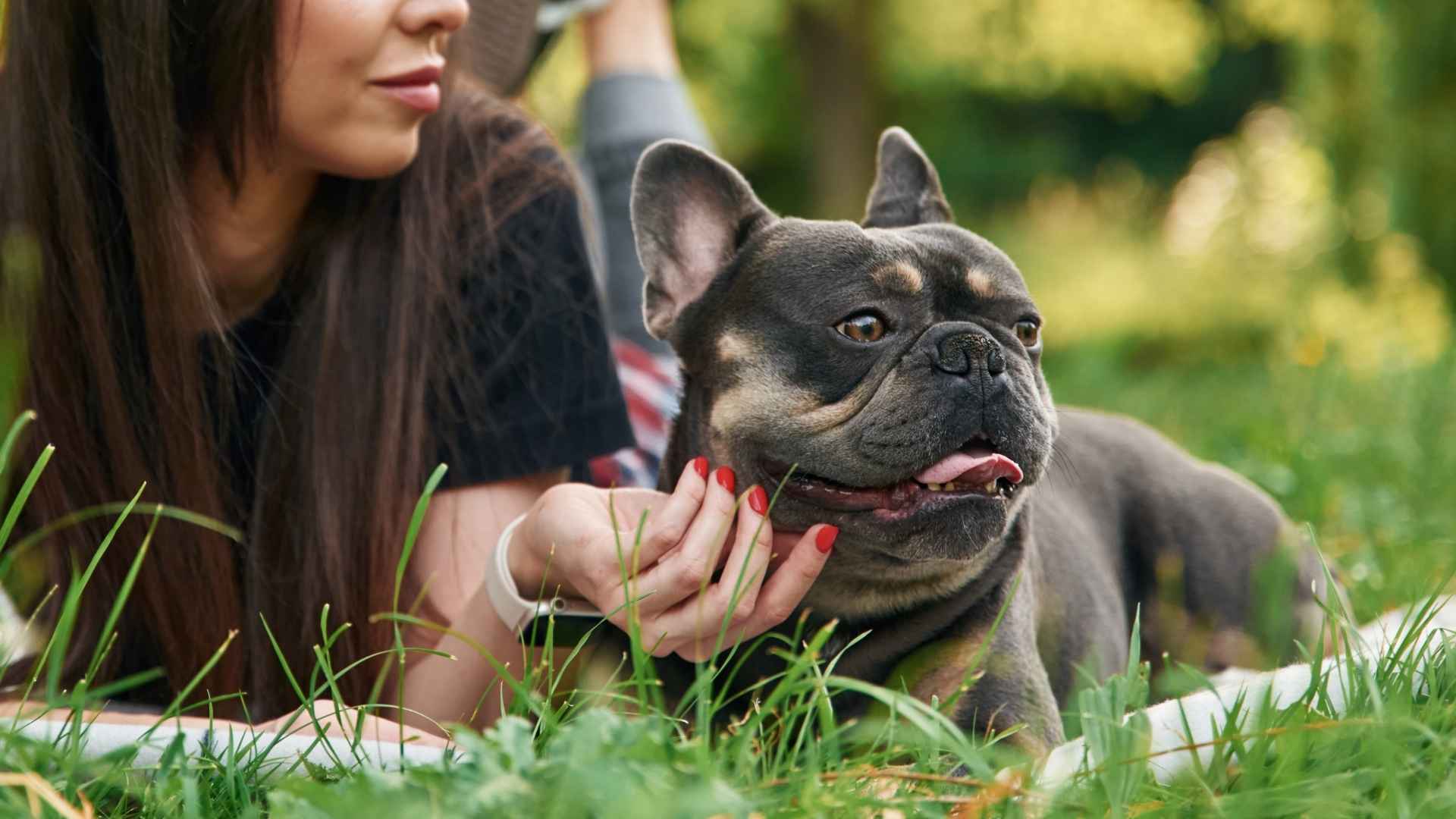 9 Best Dog Breeds for First-Time Dog Owners That Won’t Let You Down