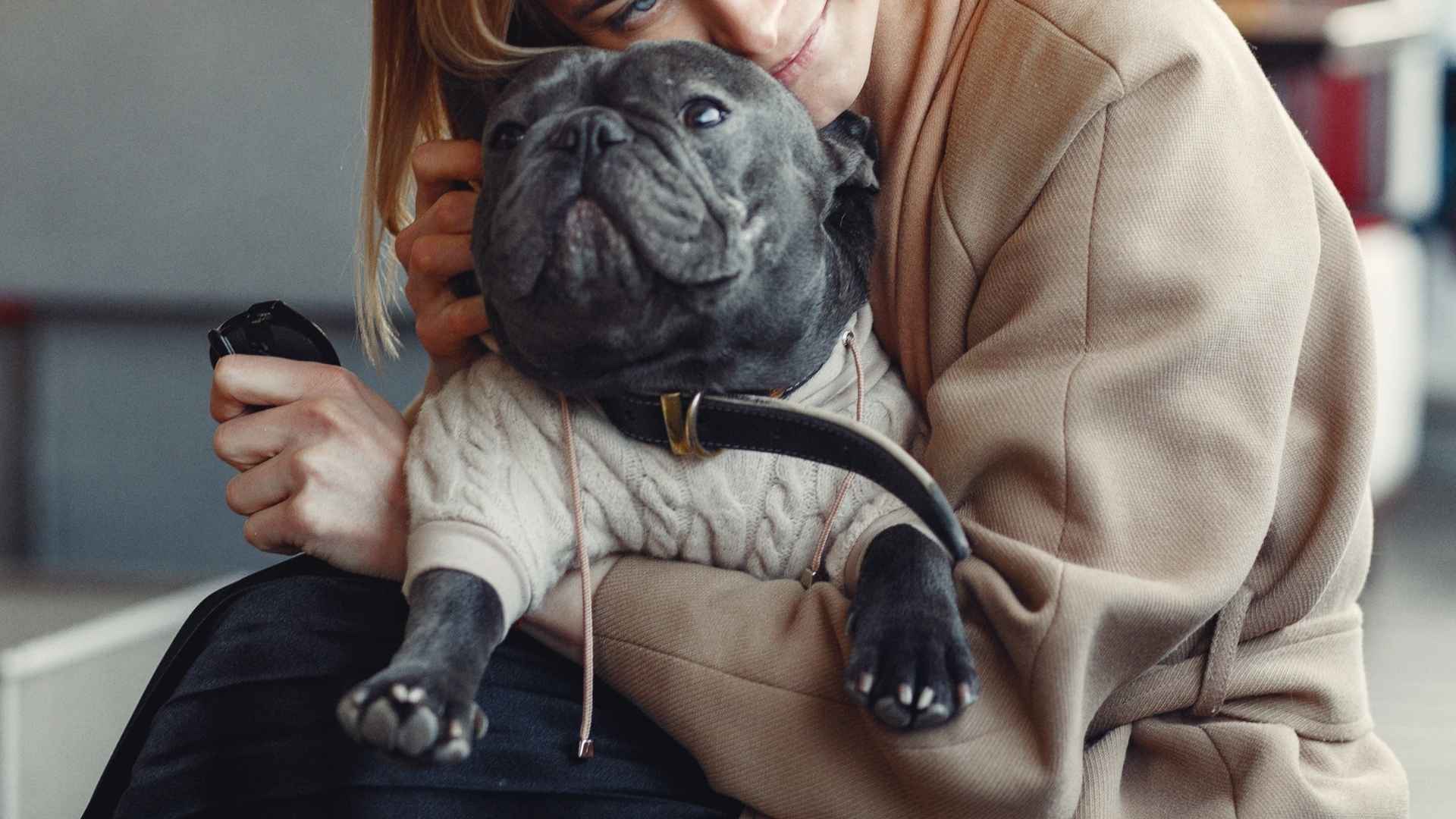 9 Docile Emotional Support Dog Breeds for Comfort and Care