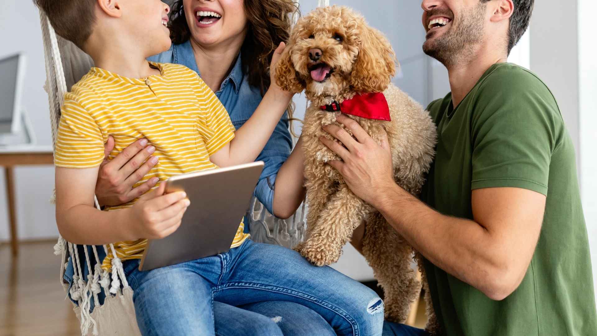 9 Family-Friendly Apartment Dog Breeds: Small-Space, Big Love
