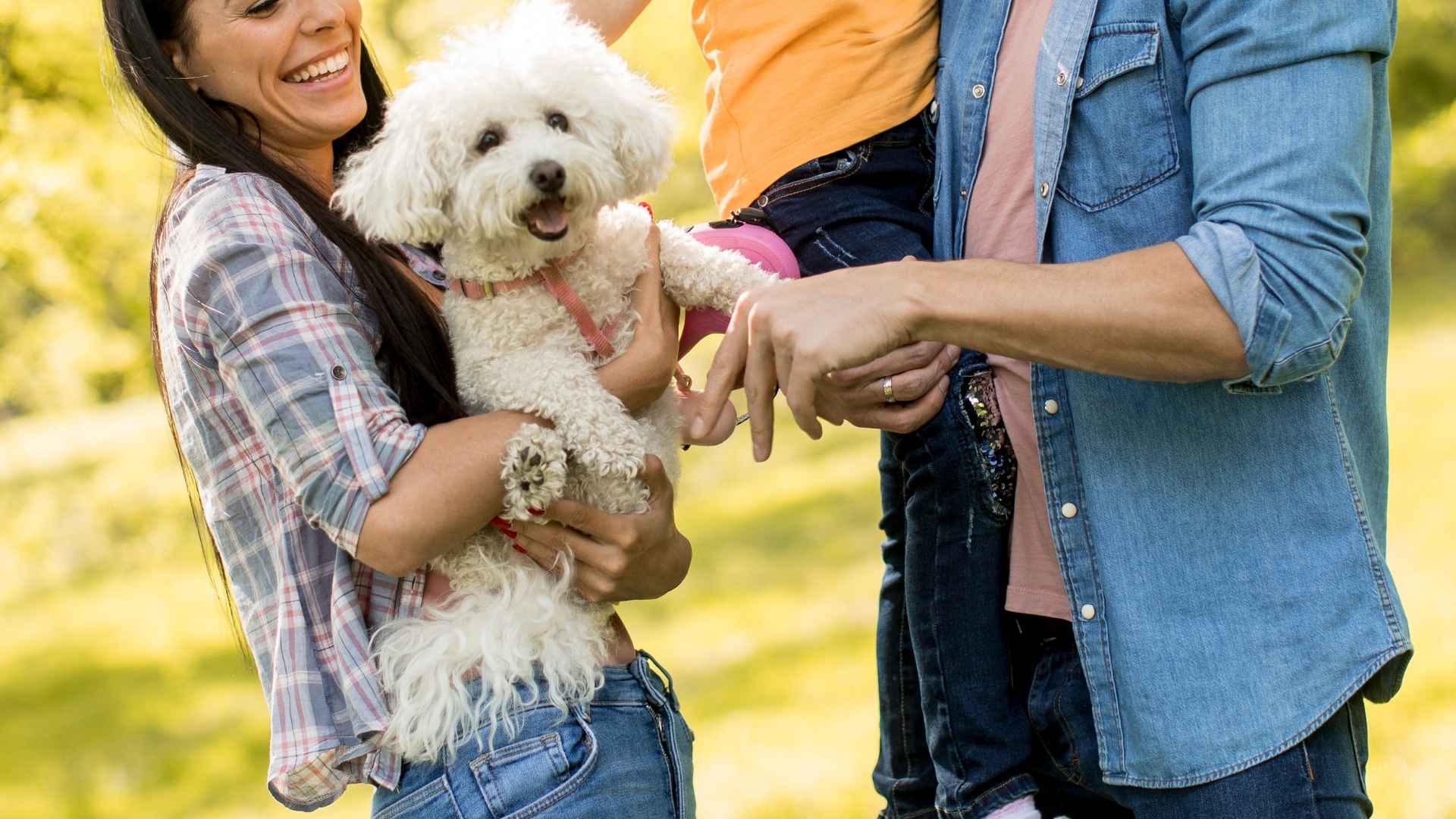 9 Family Puppy Breeds That Make the Best Family Pets