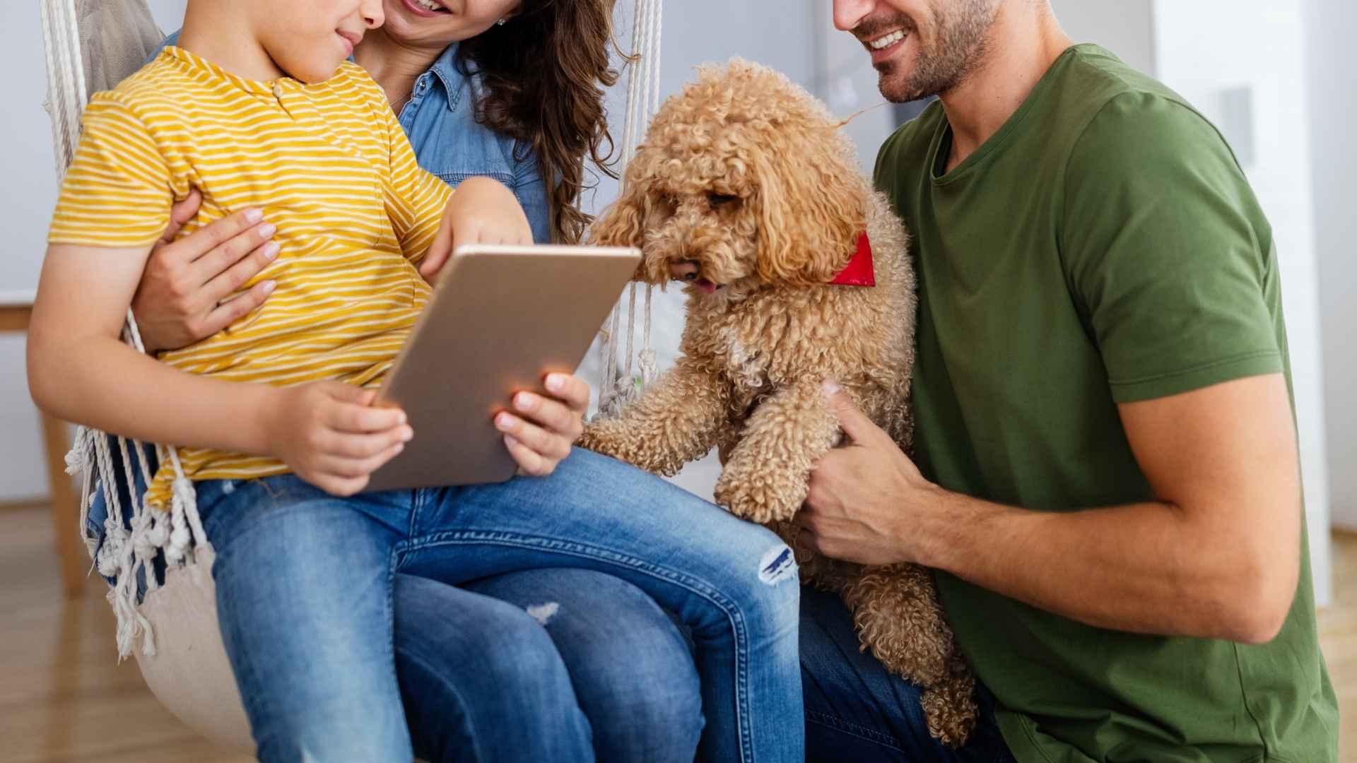 9 Intelligent Family Dog Breeds That Learn Fast & Love Big