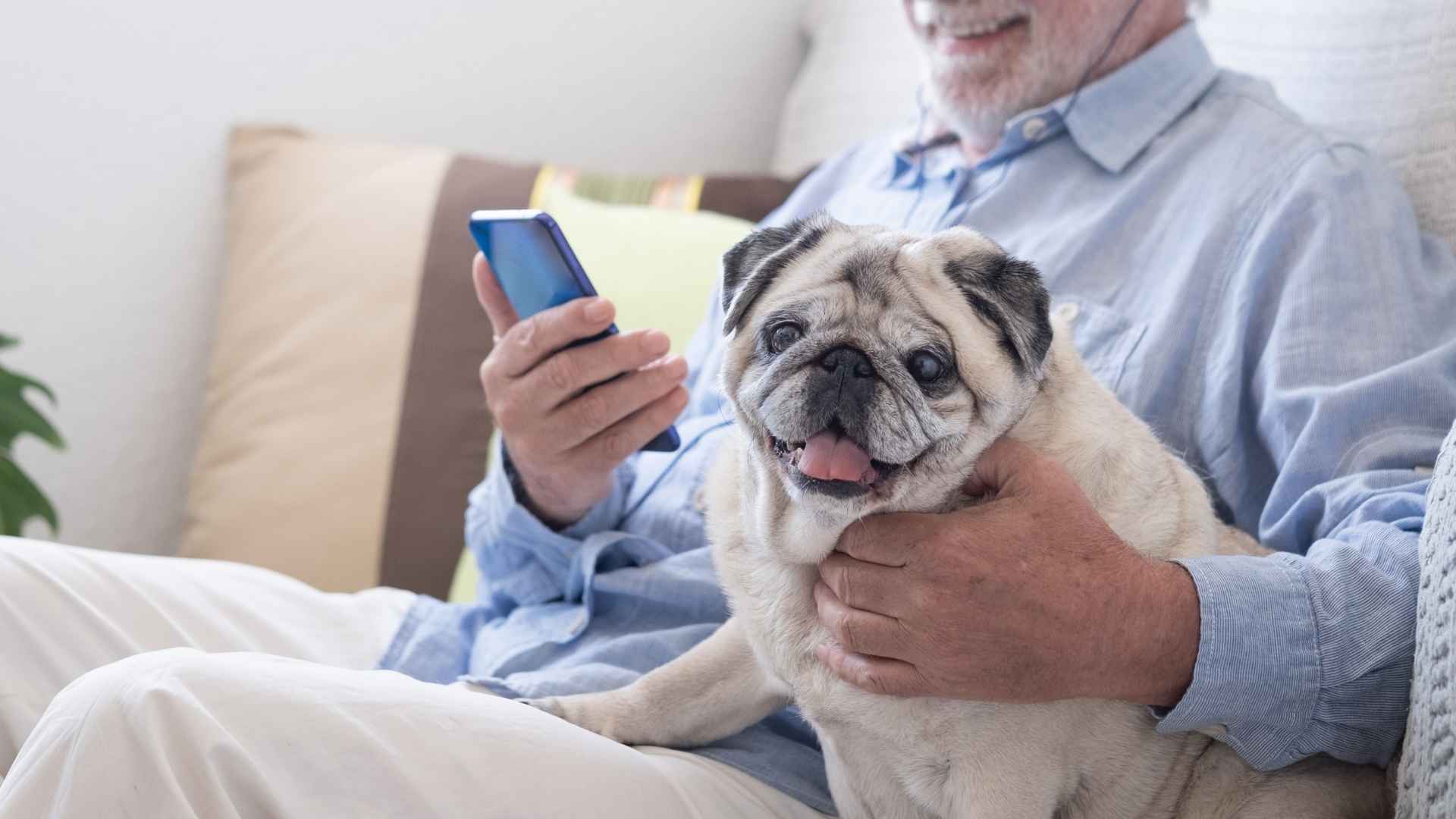 9 Low-Maintenance Dog Breeds That Seniors Will Love