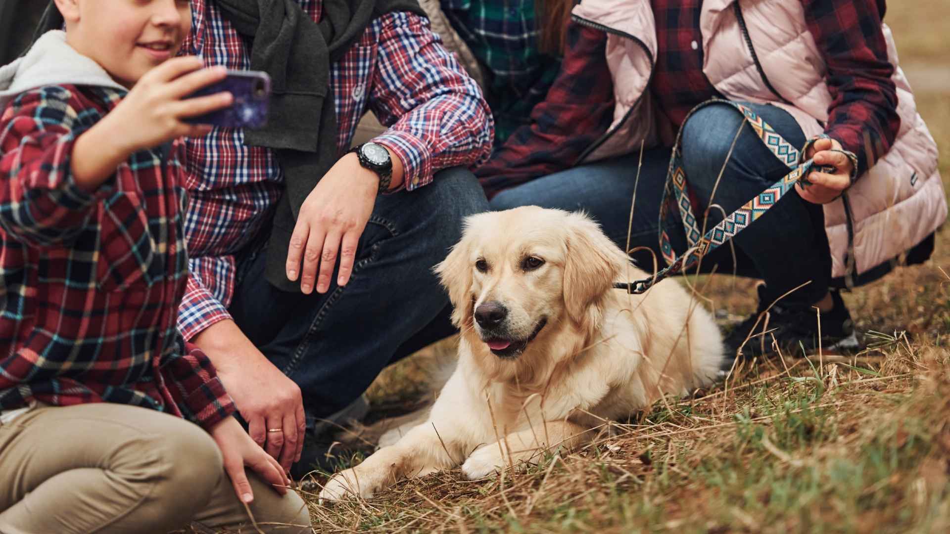9 Loyal Family Dog Breeds That Never Leave Your Side