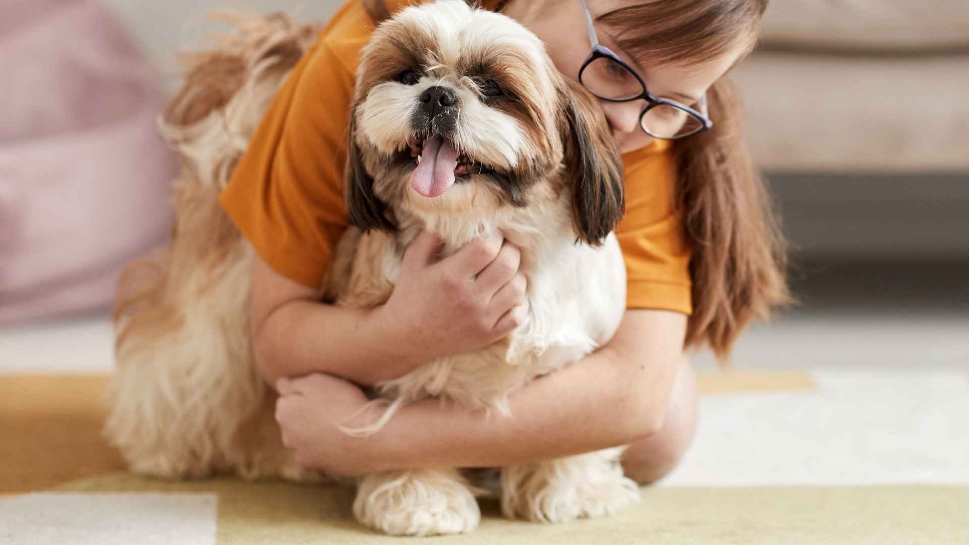 9 Most Friendly Low-Shedding Dog Breeds: Low-Maintenance & Lovable