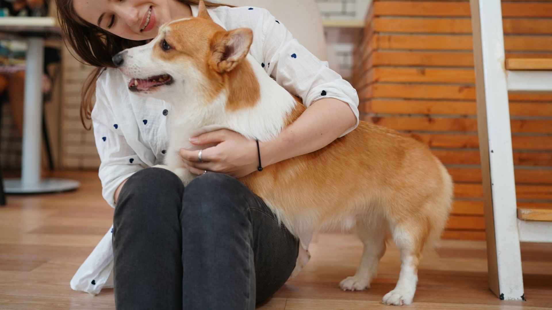 9 Most Loyal Companion Dog Breeds: Faithful Friends for Life