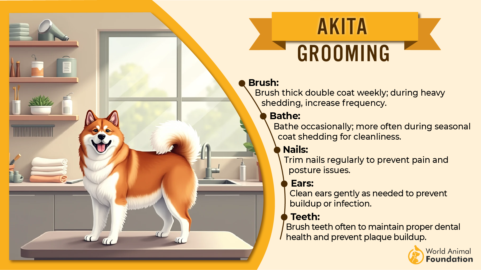 Akita grooming