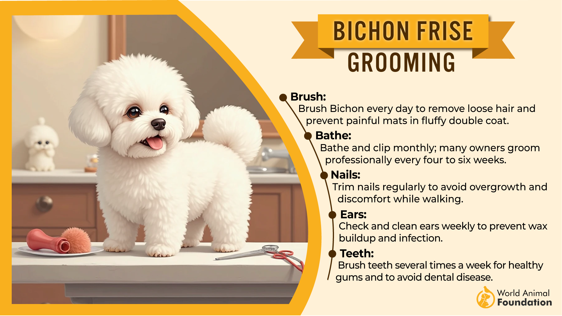 Bichon Frise grooming