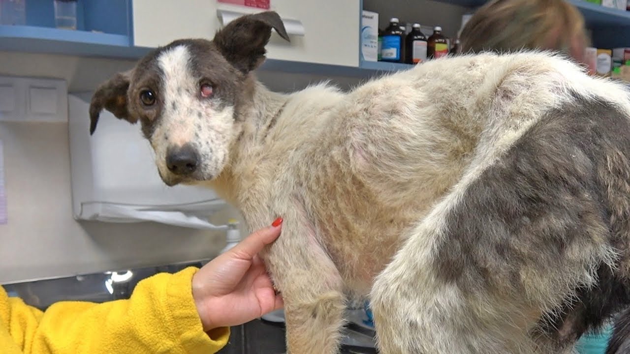 Emma’s Road to Recovery: From Pain to Peace