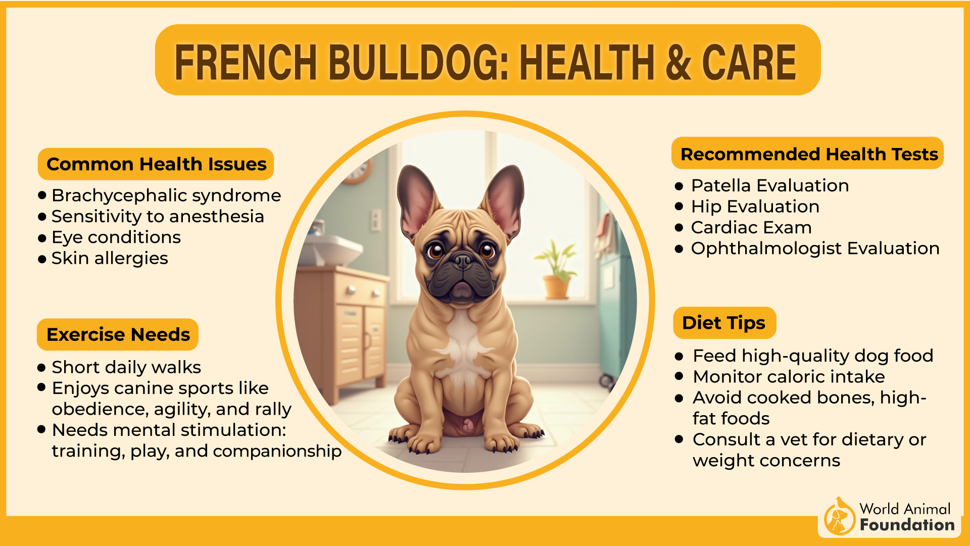 French Bulldog health