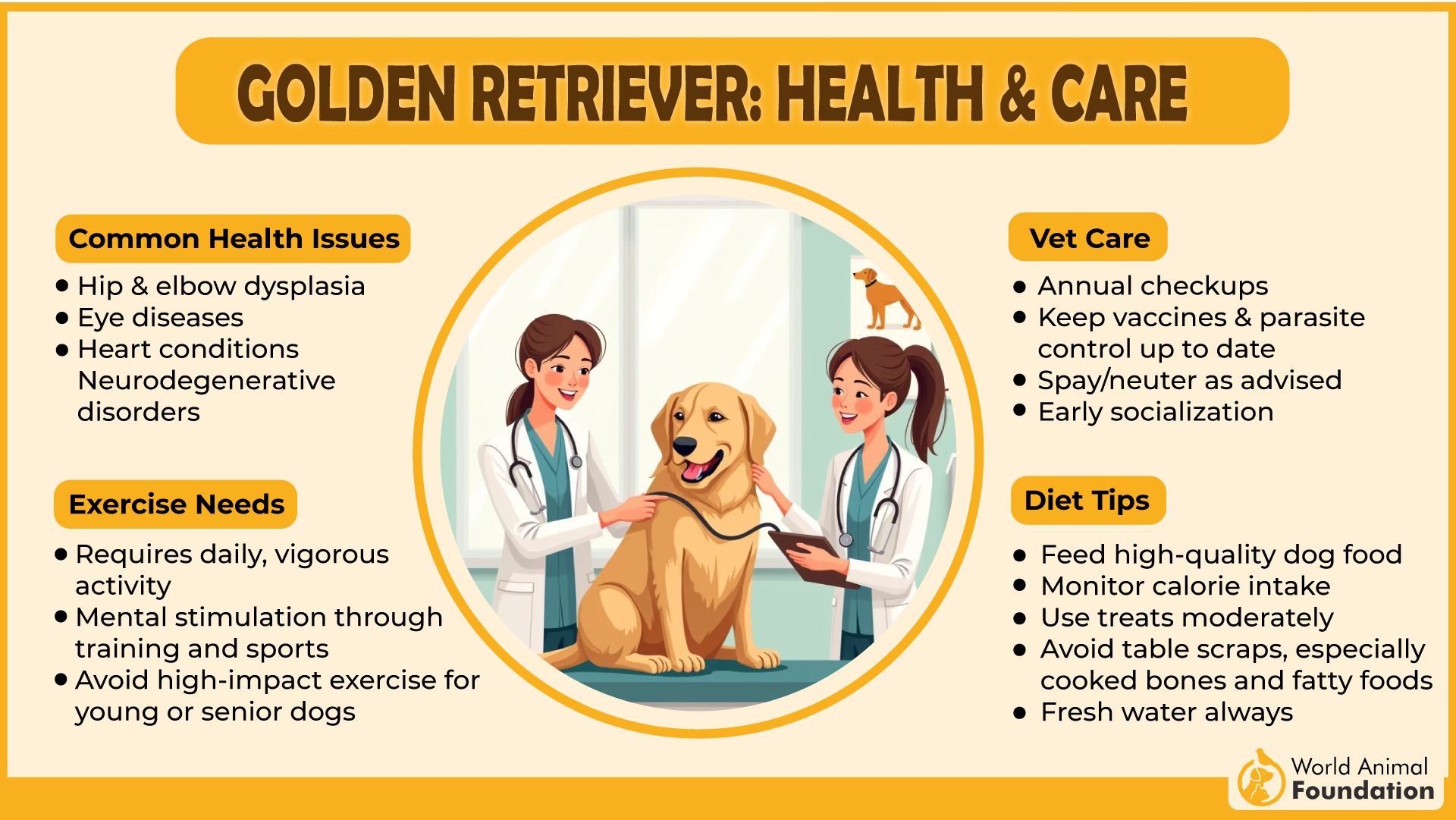 Golden Retriever Health