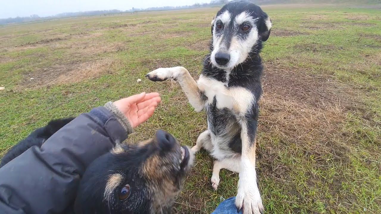 Left in a Field for 7 Years, Inna Finally Finds Love