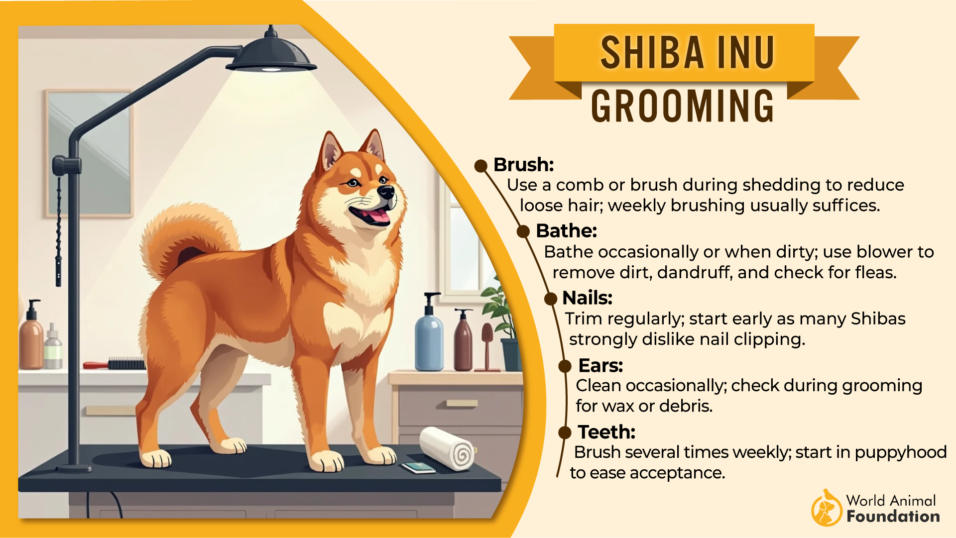 Shiba Inu grooming