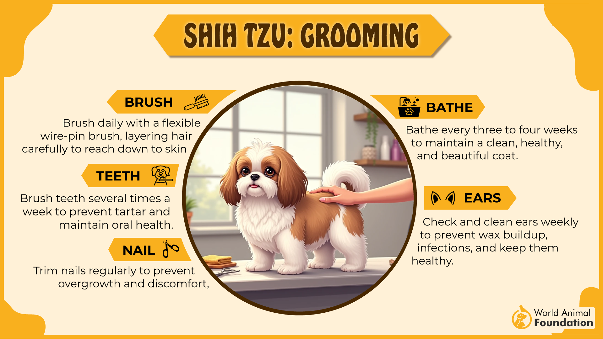 Shih Tzu grooming