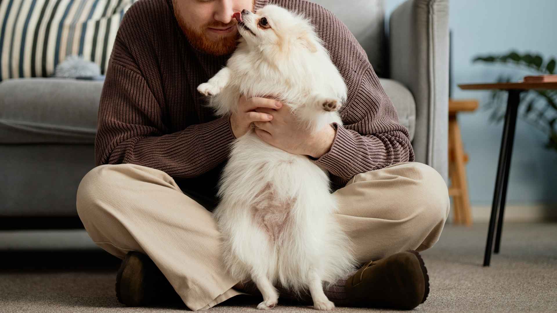 Discover the best confident emotional support dog breeds that offer unwavering comfort and support. Learn what makes ideal companions for emotional well-being.