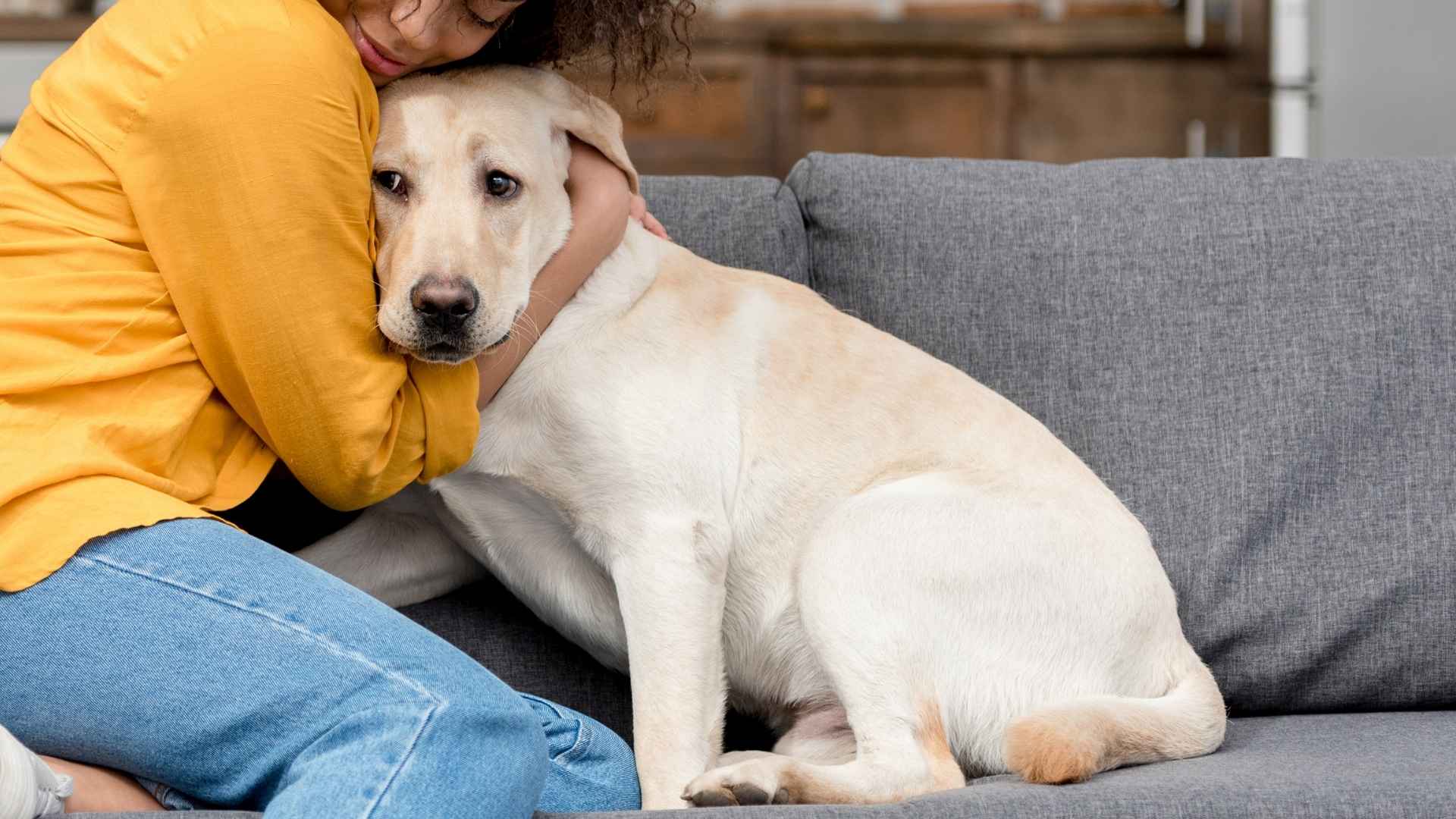 Top 7 Emotional Support Dogs for Women Seeking Comfort & Stability