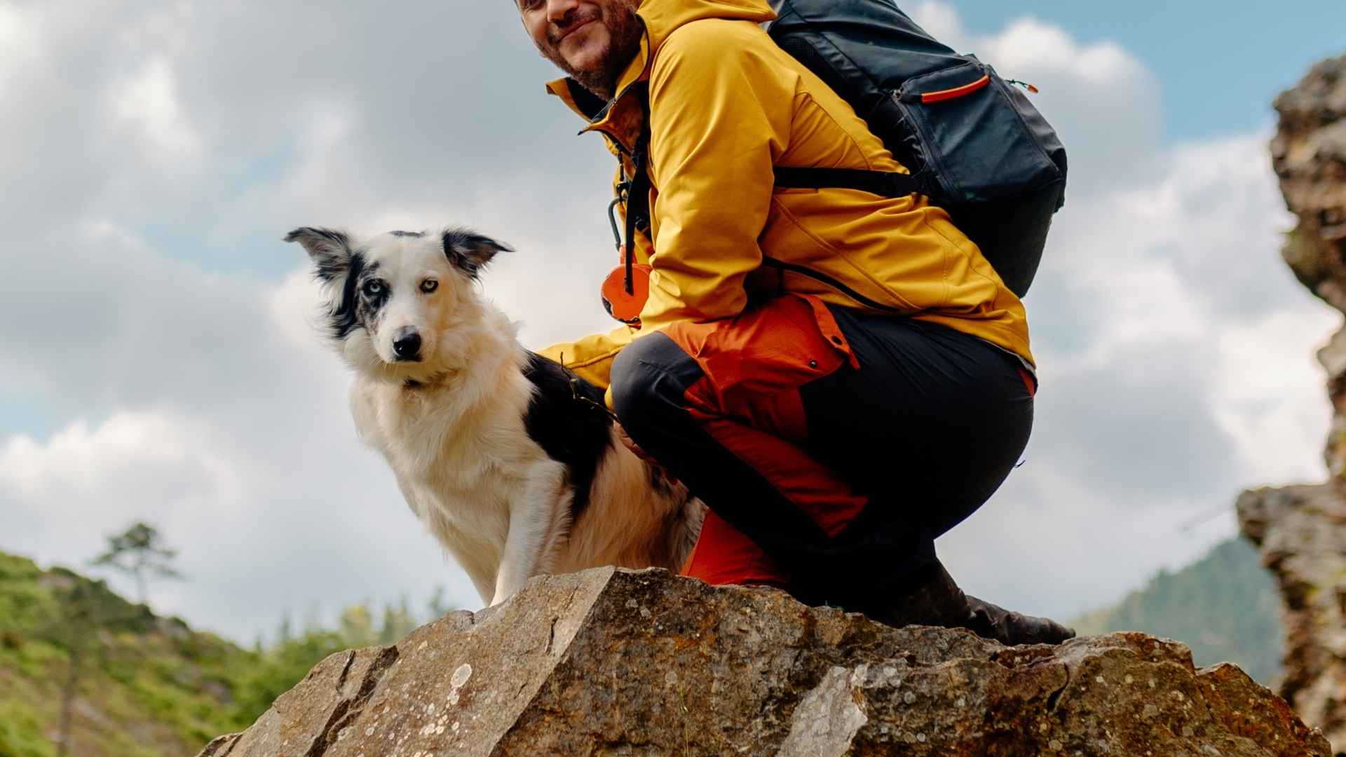 Top 7 Hiking Companion Dog Breeds For Outdoor Activities