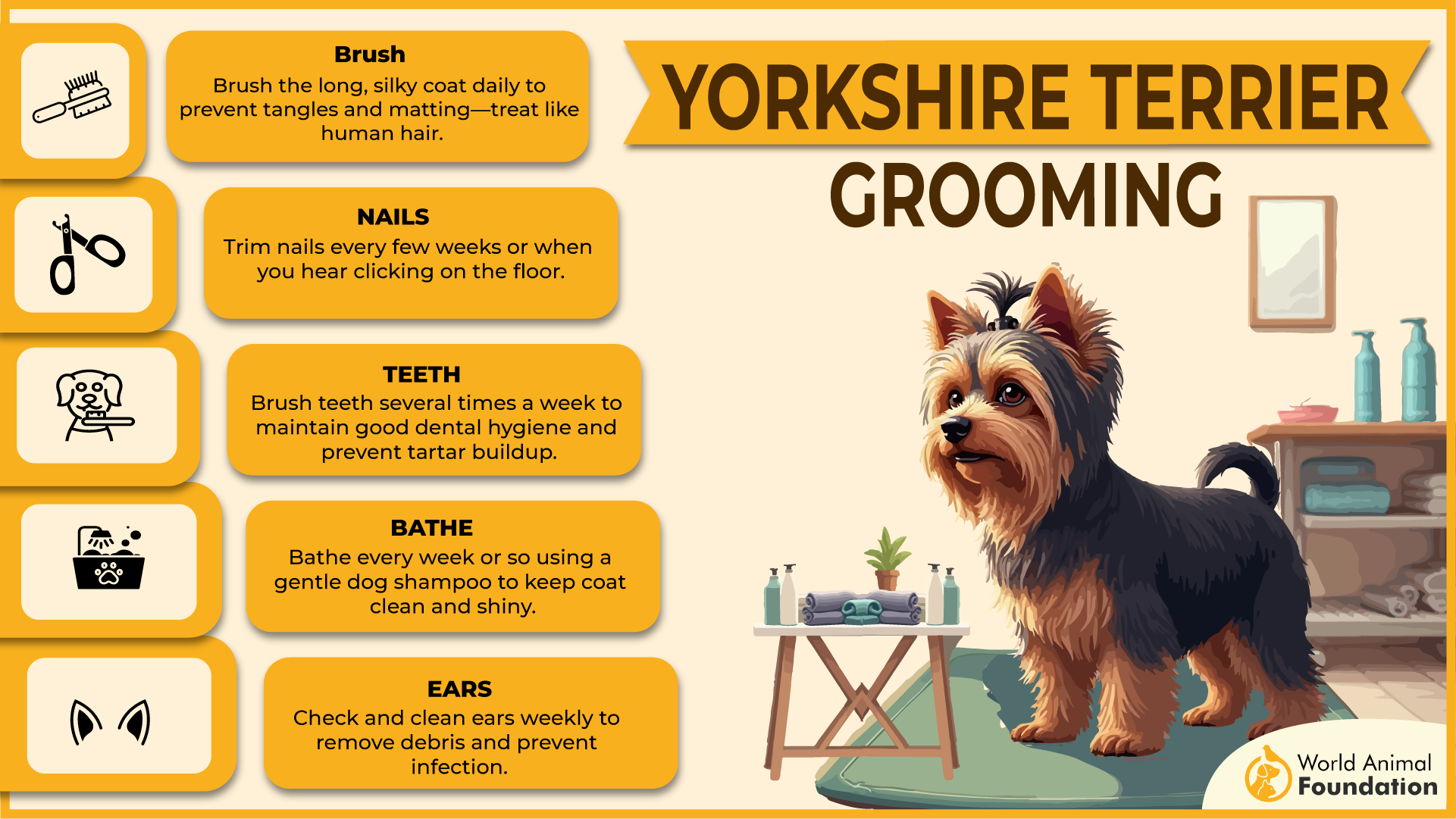 Yorkshire Terrier Grooming