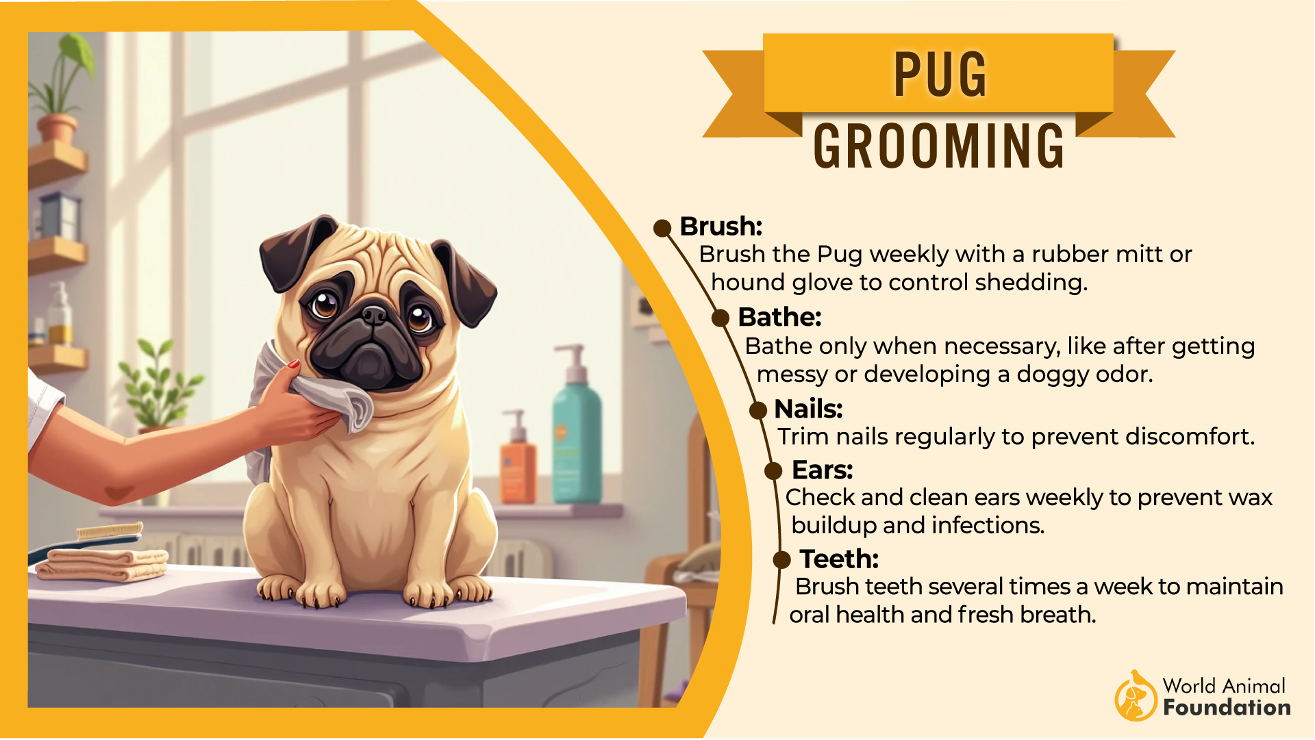 pug grooming
