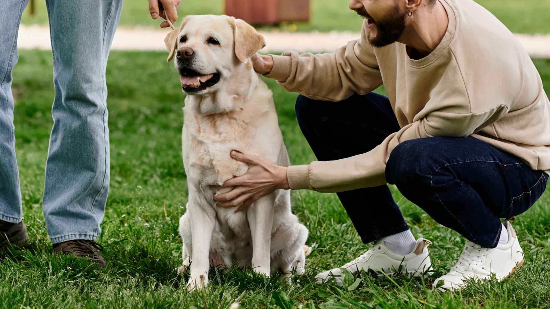 10 Dog Breeds That Get Along With Everyone They Meet