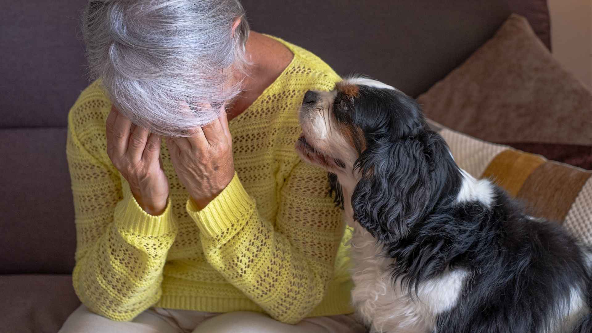 10 Dog Breeds That Mirror Owner Emotions: Dogs That Feel What You Feel
