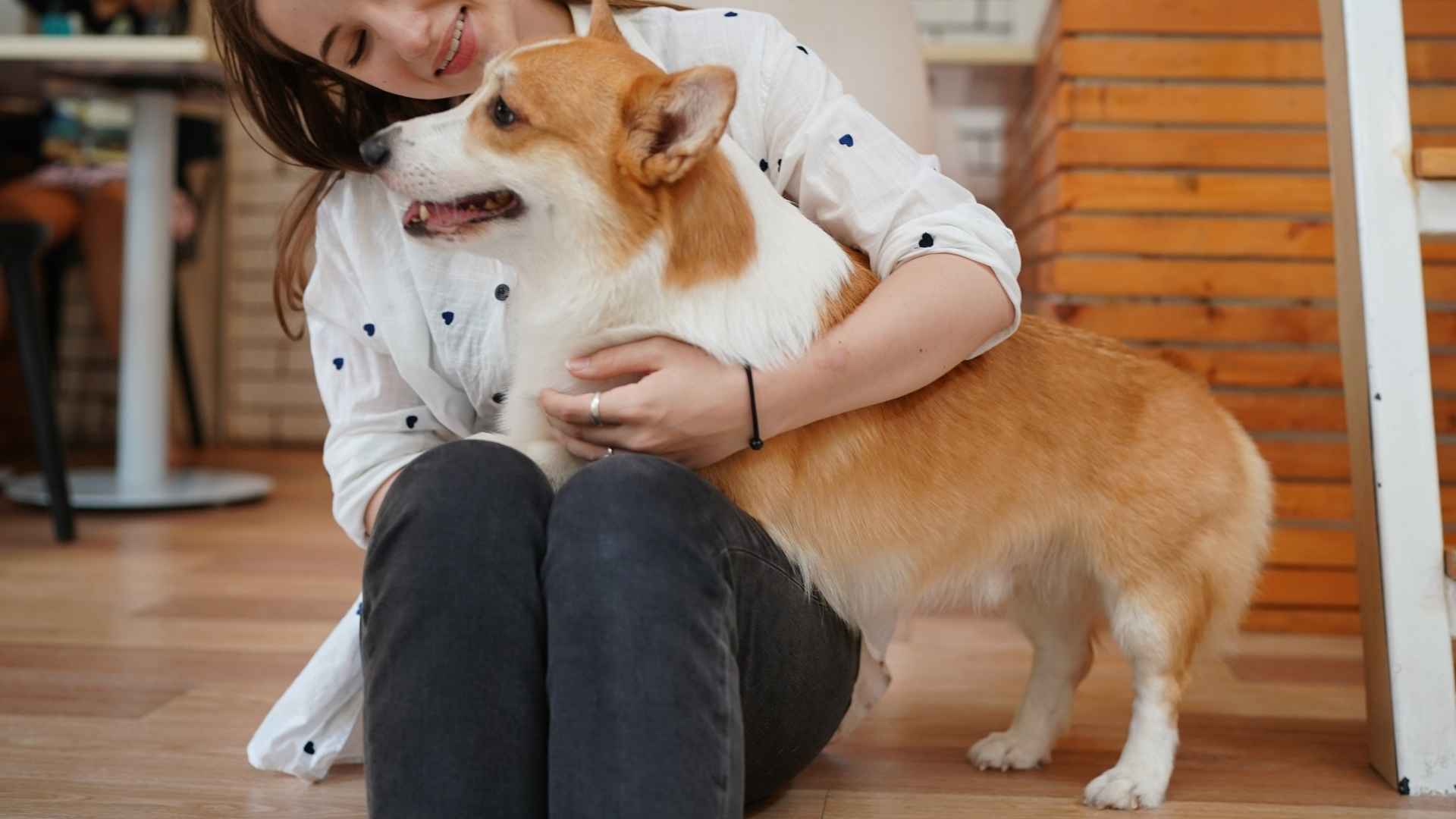 10 Dog Breeds That Will Always Keep You Smiling (Even on Your Worst Days)