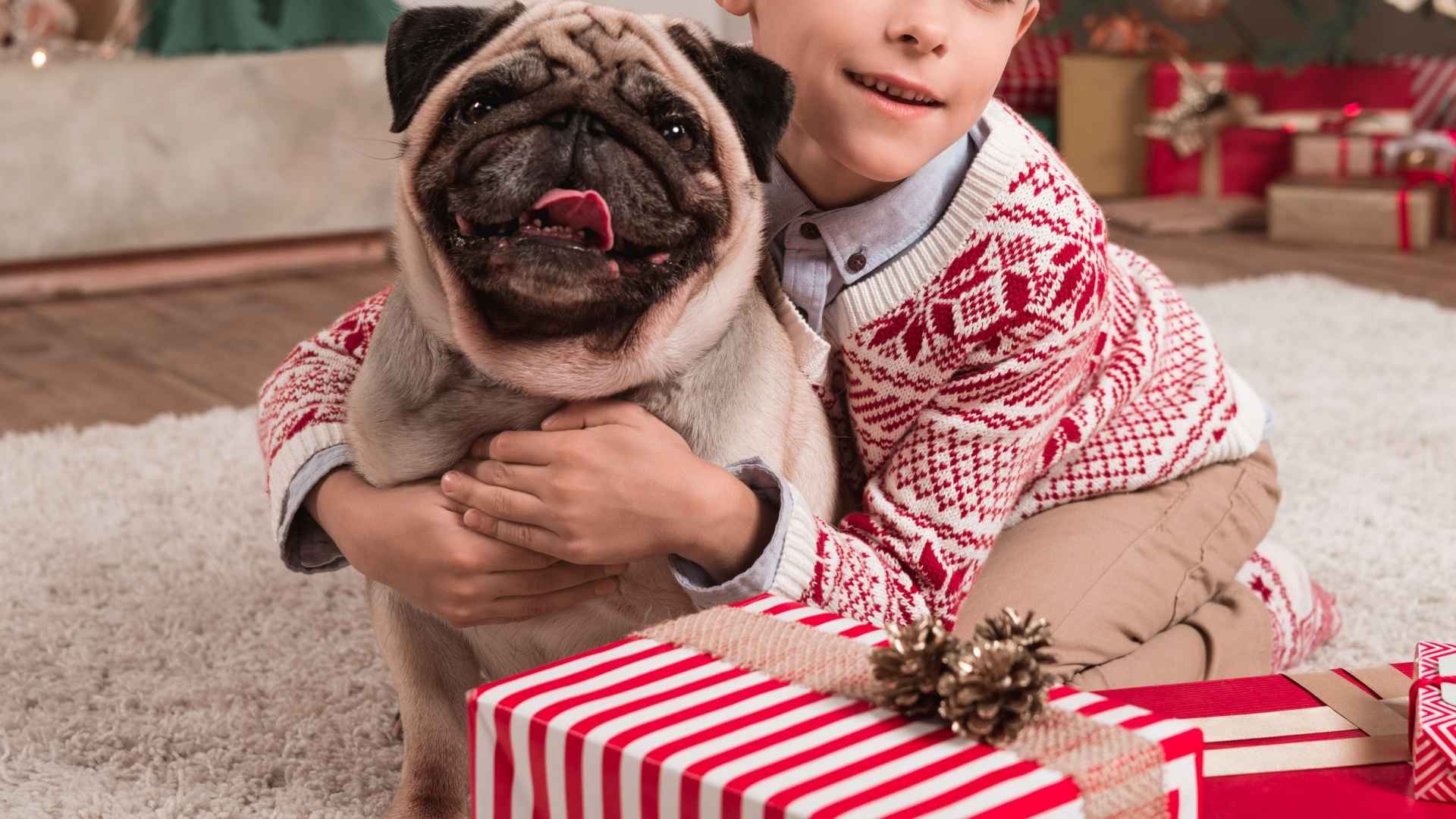 10 Good With Kids Dog Breeds For Families That Love to Play
