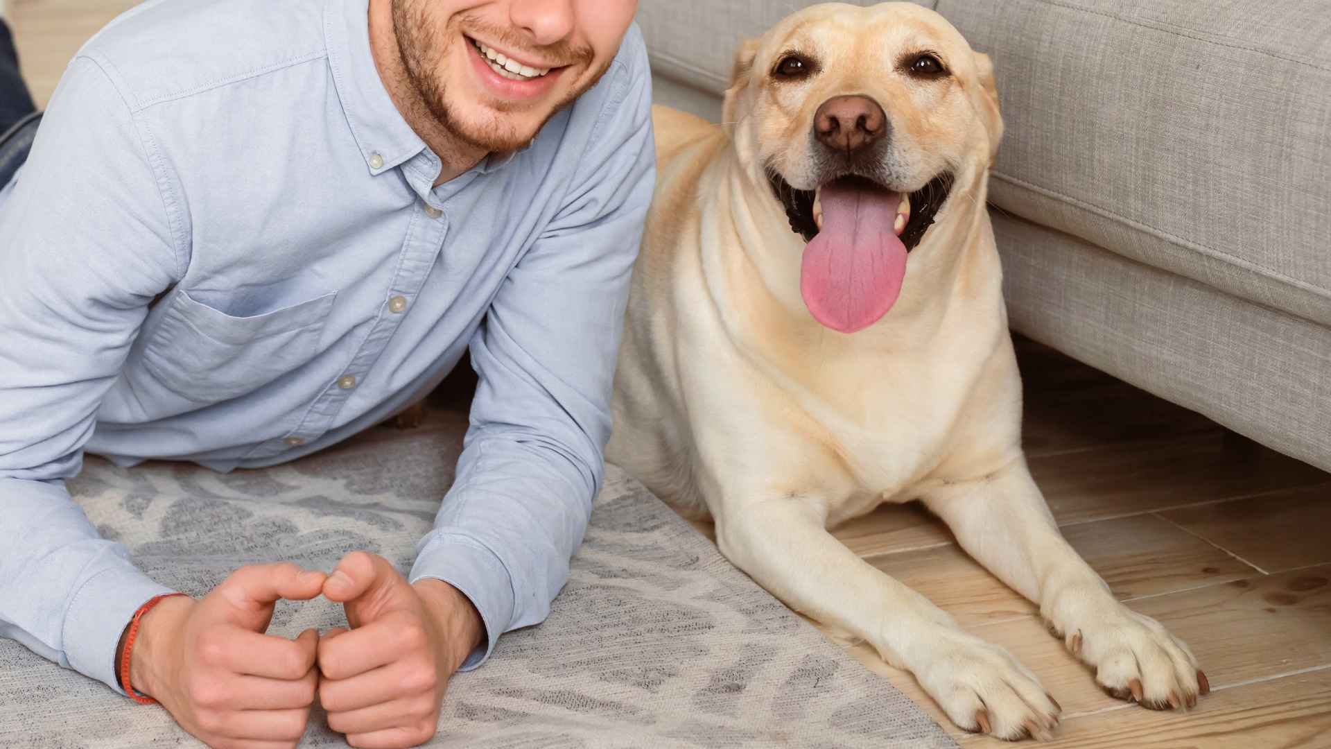 7 Best Dog Breeds For Someone In Their 20s