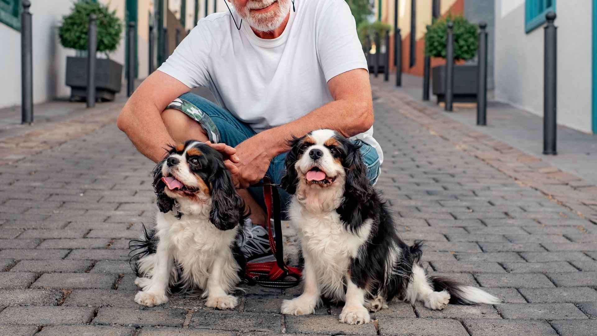 7 Best Dog Breeds for People Over 60 Who Want Love Without the Fuss