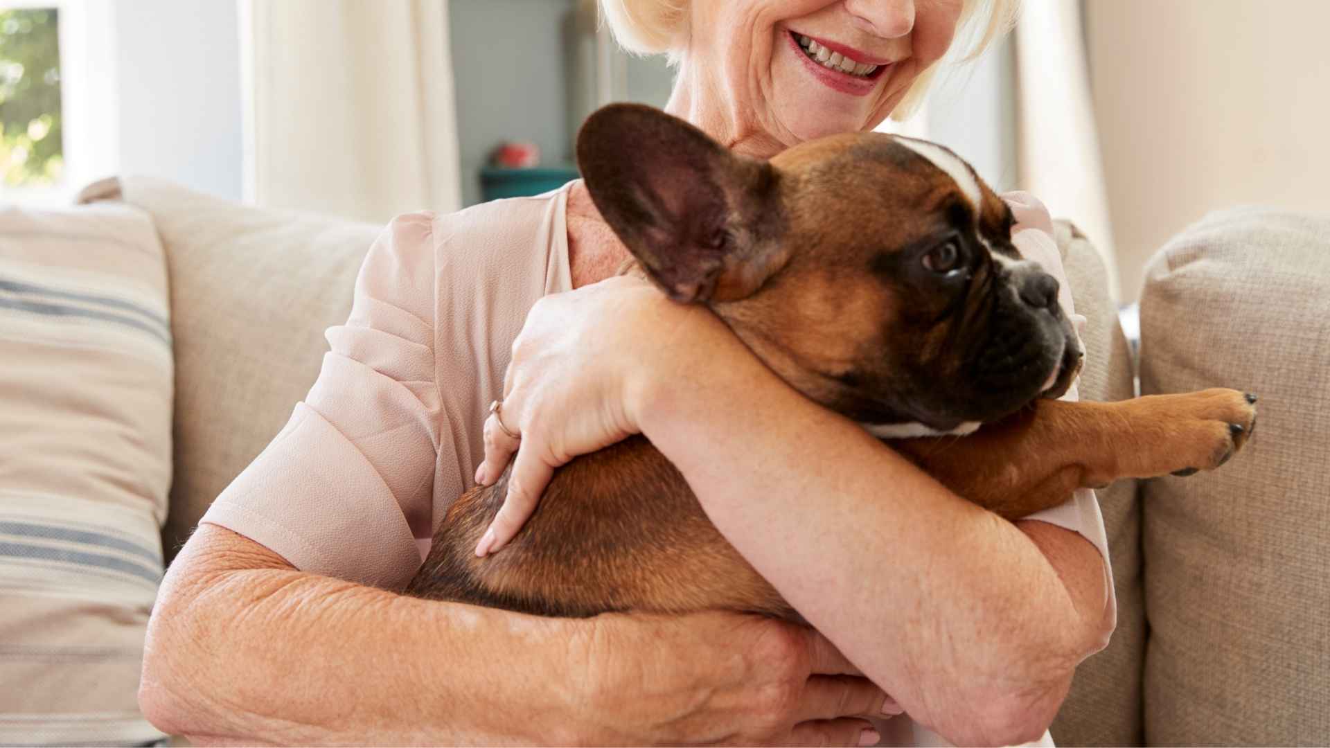 7 Best Dog Breeds for Someone in Their 70s