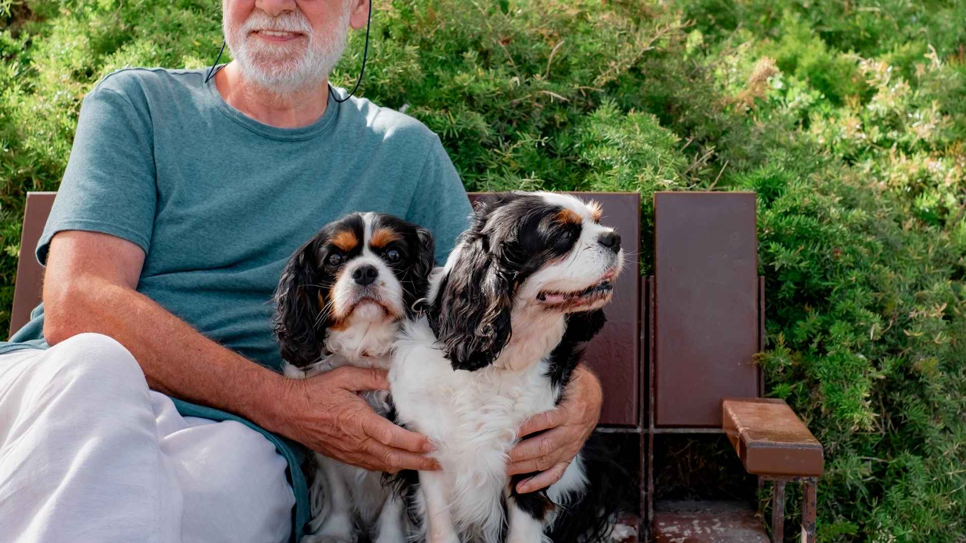 7 Best Temperament Dog Breeds For Seniors: Gentle Souls For Your Golden Years