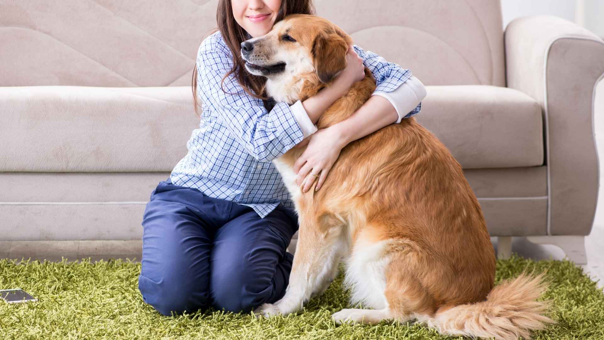 7 Devoted Emotional Support Dog Breeds That Fill Your Heart with Peace