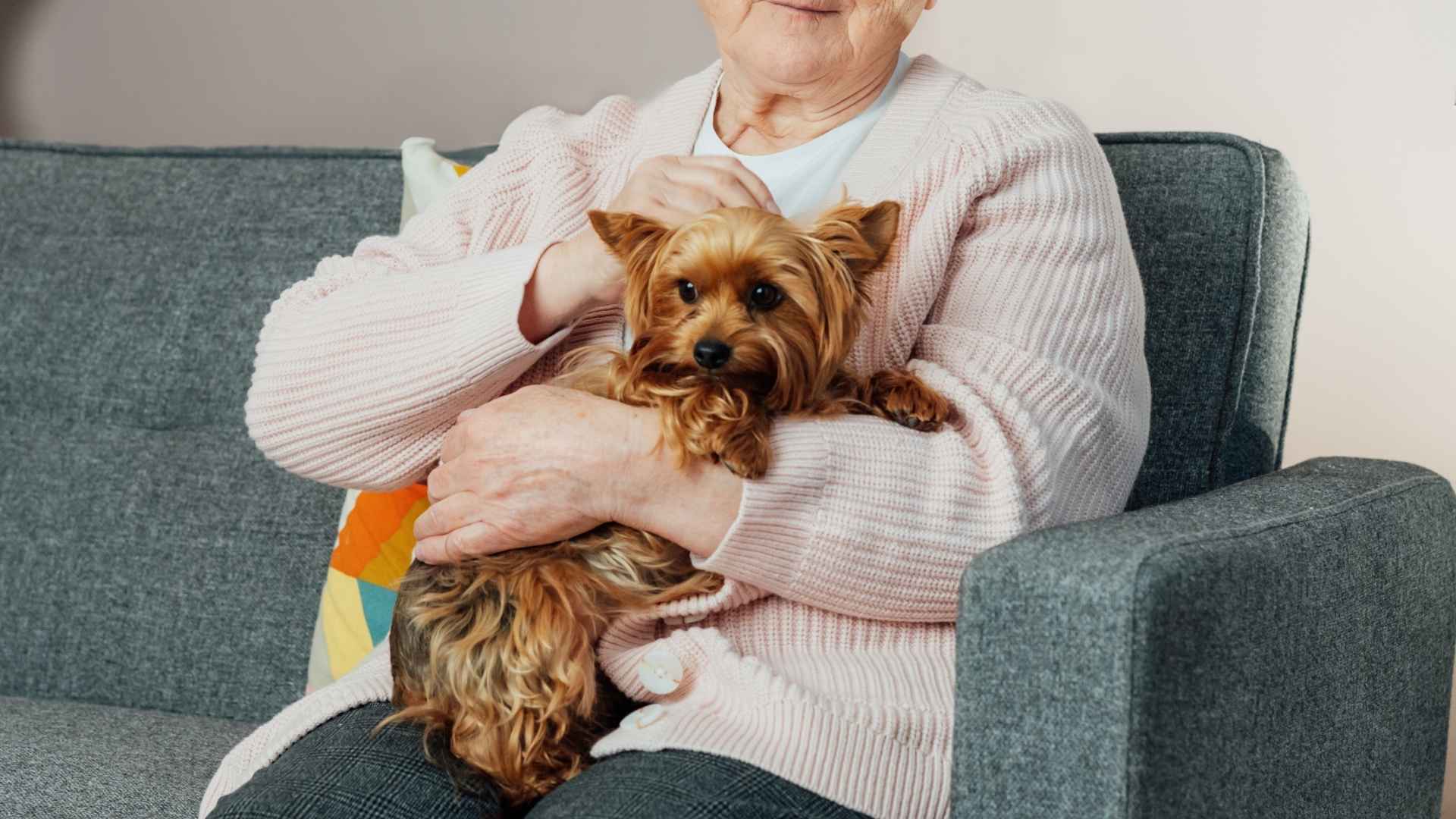 7 Dog Breeds For The Elderly Living Alone That Offer Love and Care
