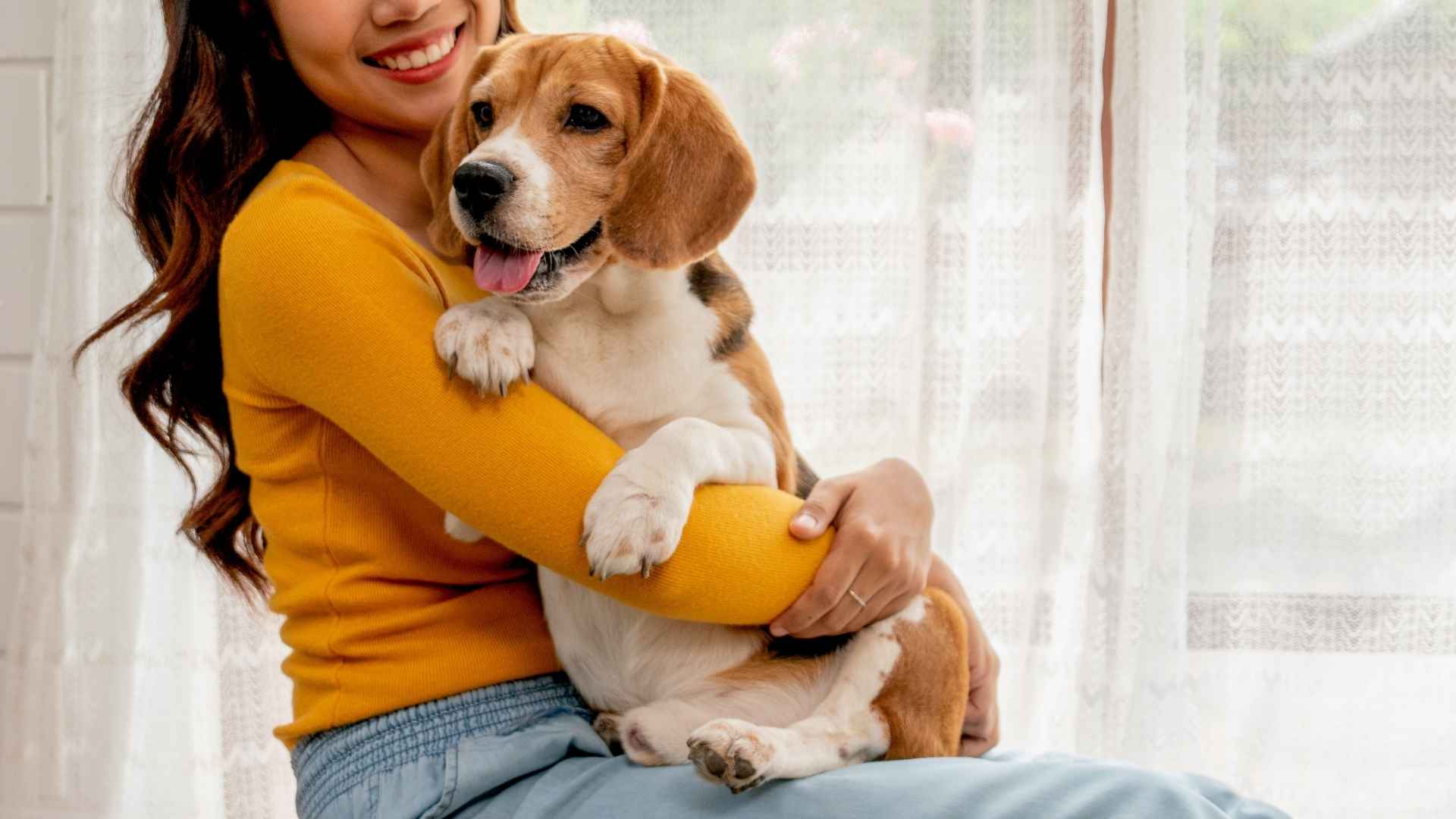 7 Dog Breeds That Are Joyful and Lift Your Spirits
