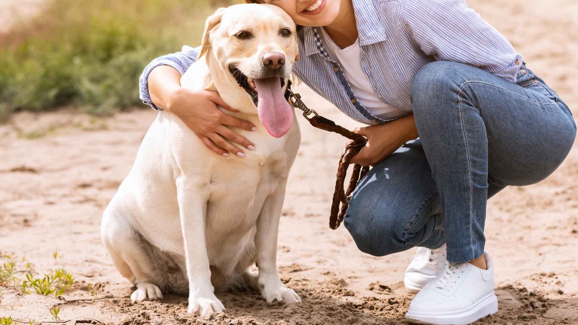 7 Dog Breeds That Can Sense Owner’s Mood and Stay by Your Side