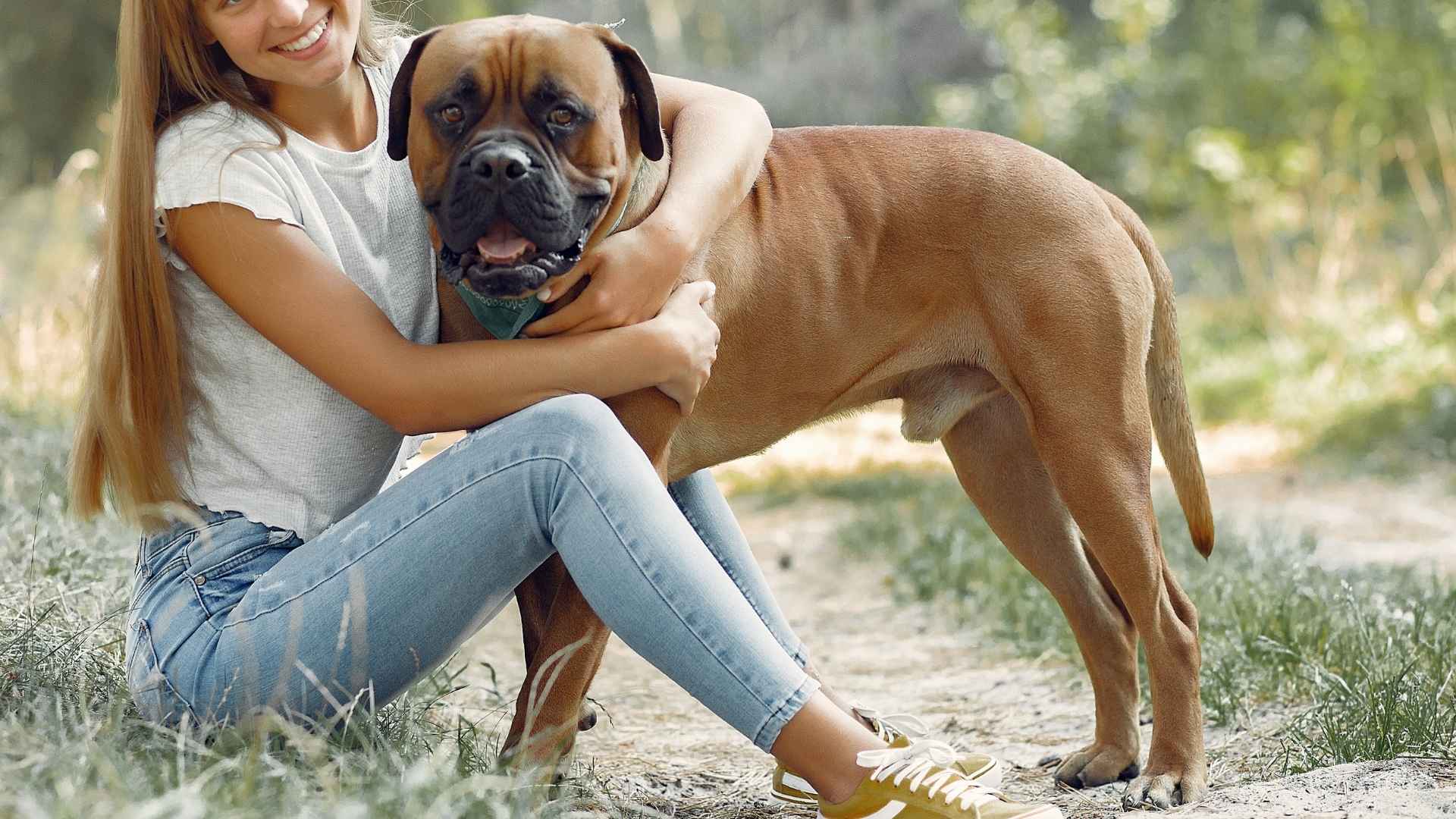 7 Dog Breeds That Dont Run Away & Stay by Your Side