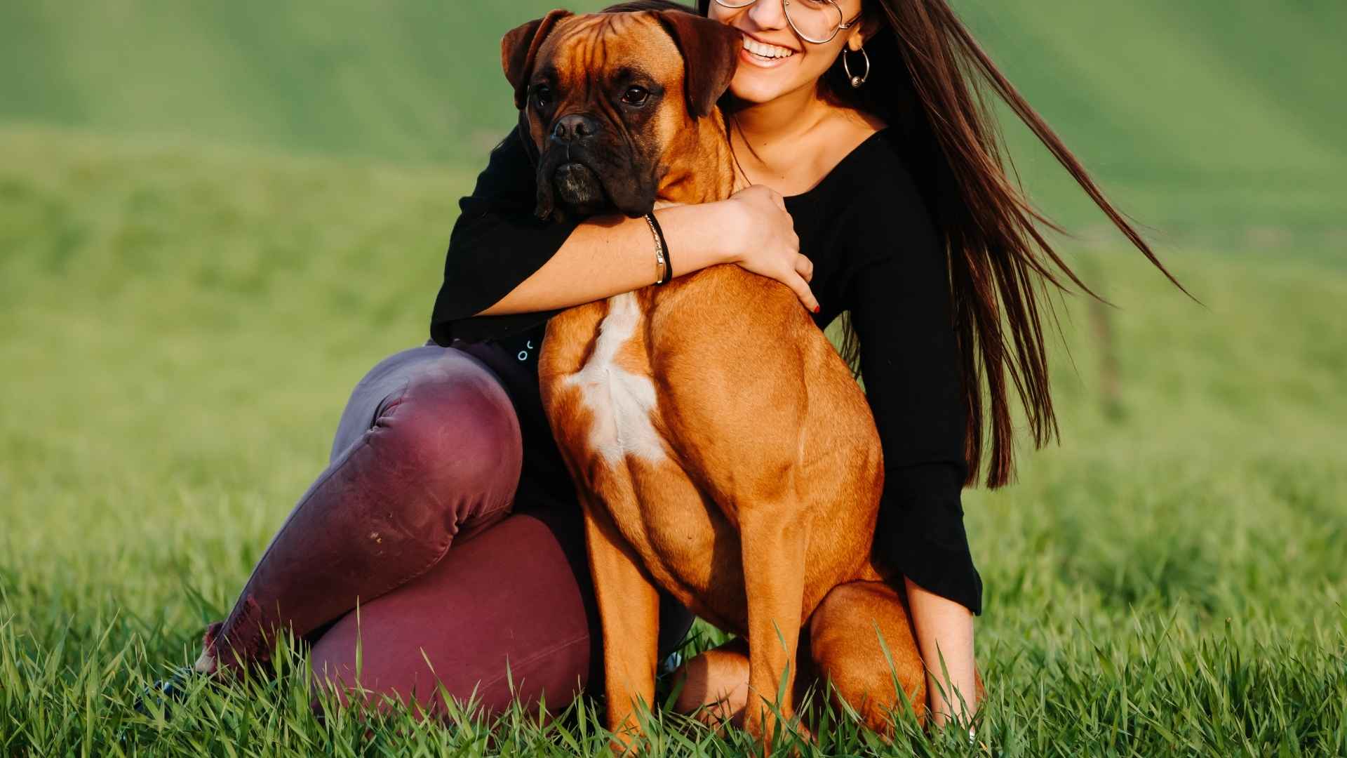 7 Dog Breeds That Love Without Limits and Bring Joy to Your Life