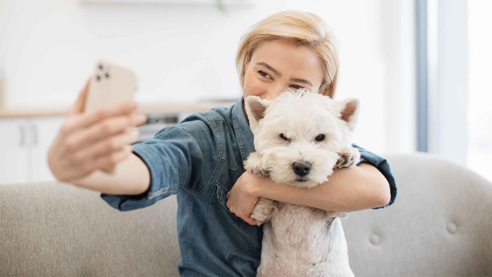 7 Dog Breeds That Pose Well For Reels and Shine on Social Media