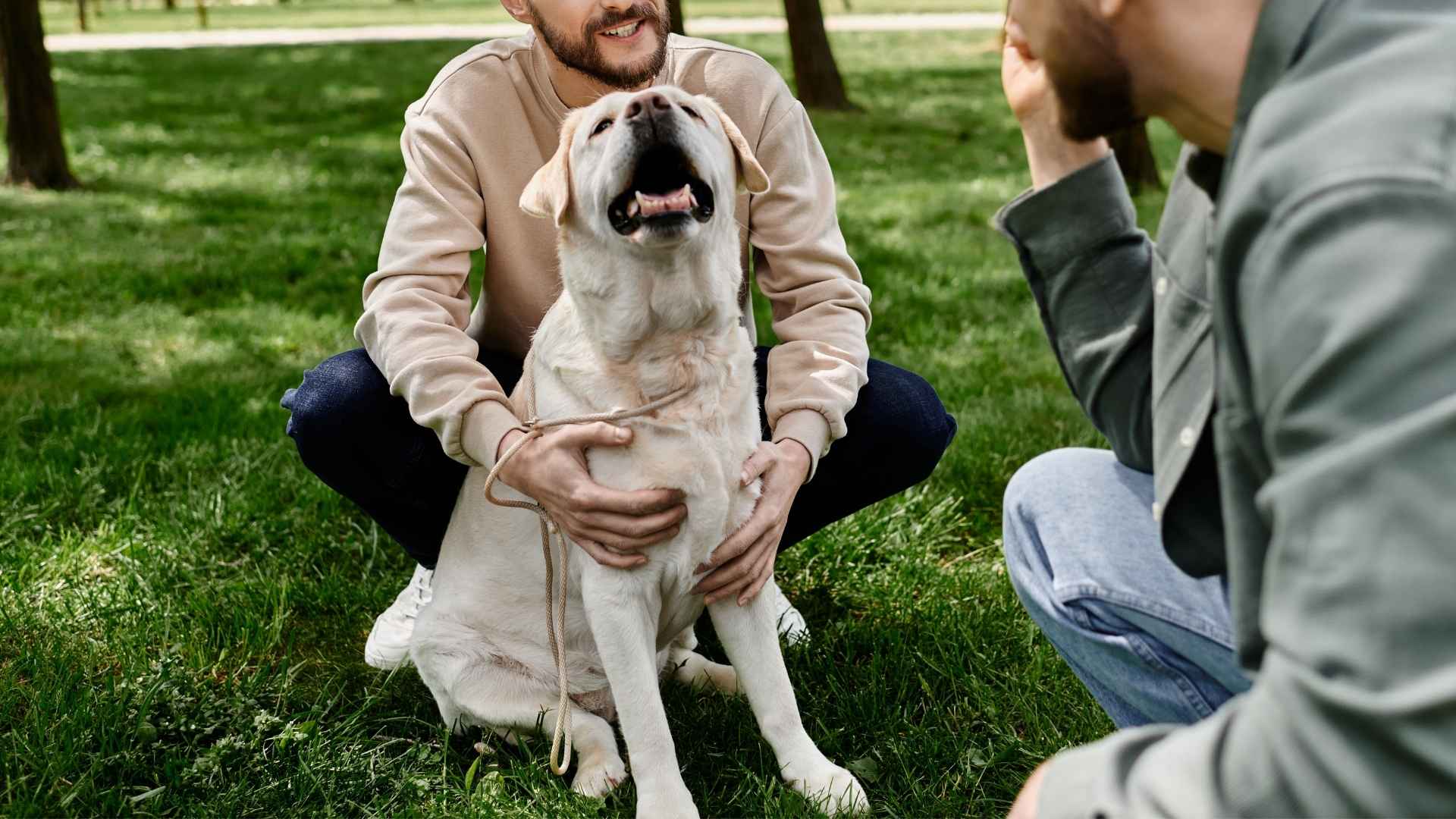 7 Dog Breeds that Circle Strangers Before They Trust