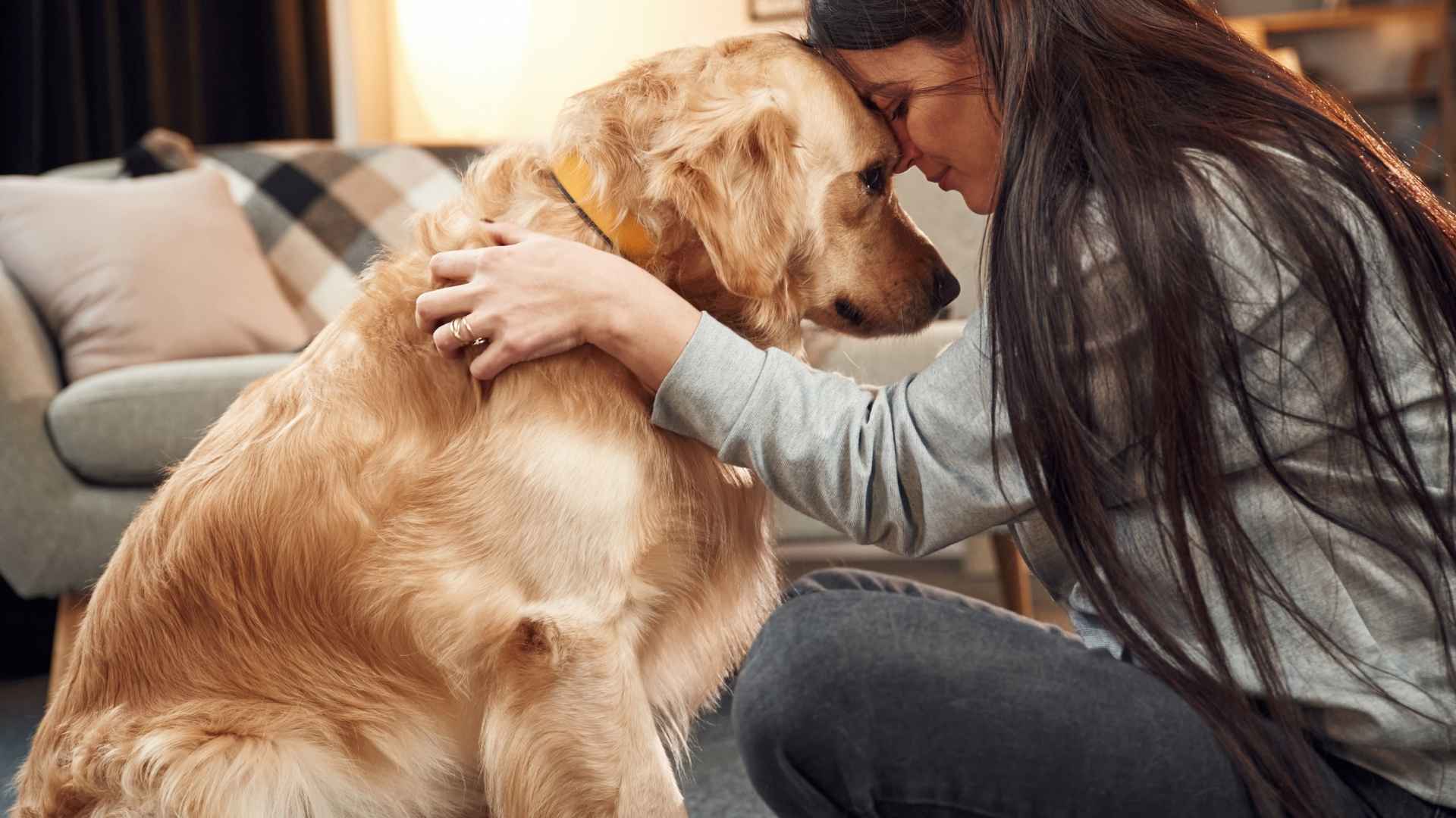 7 Emotional Dog Breeds For Therapy
