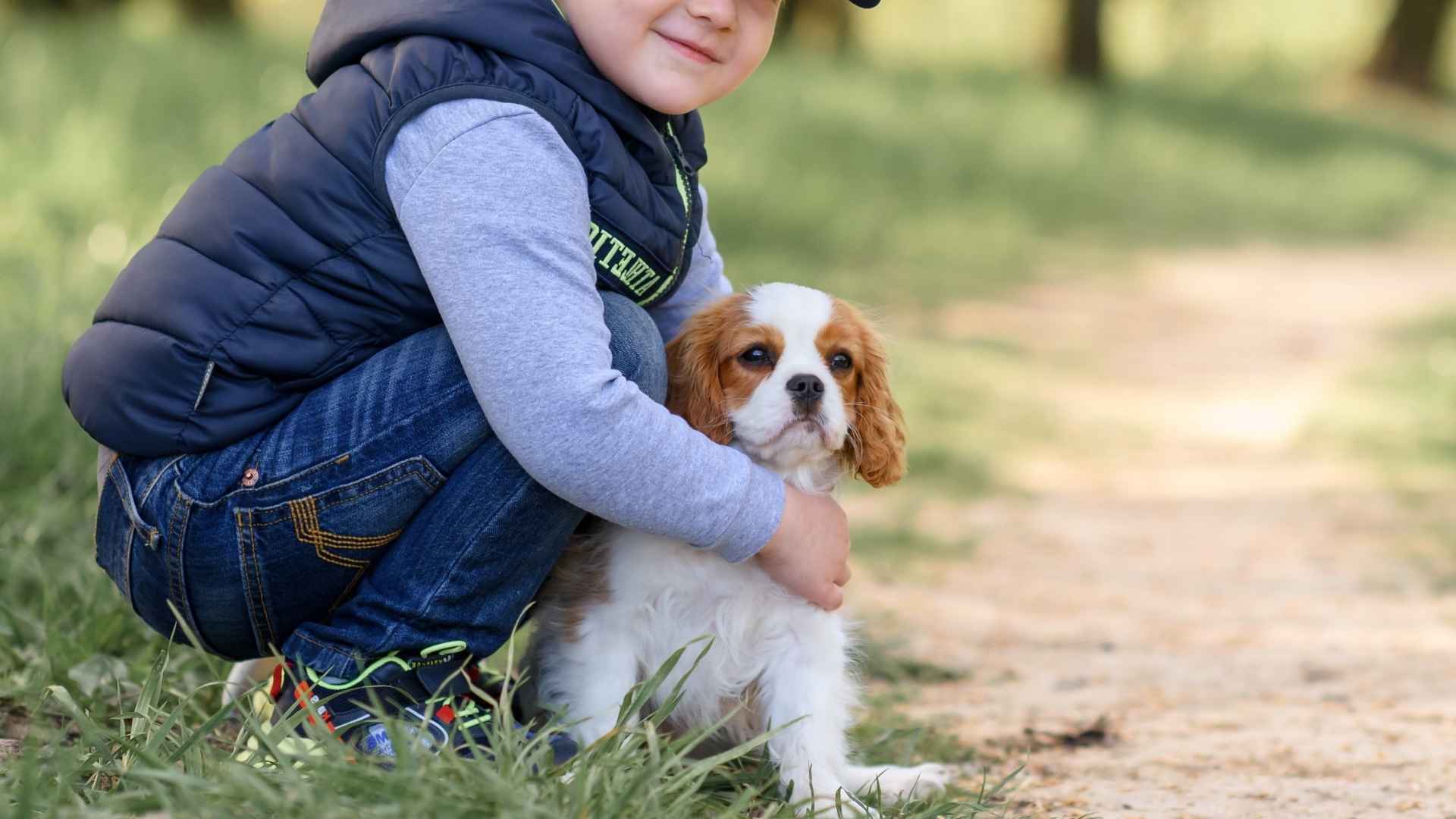 7 Good With Kids Teacup Dog Breeds for Growing Families