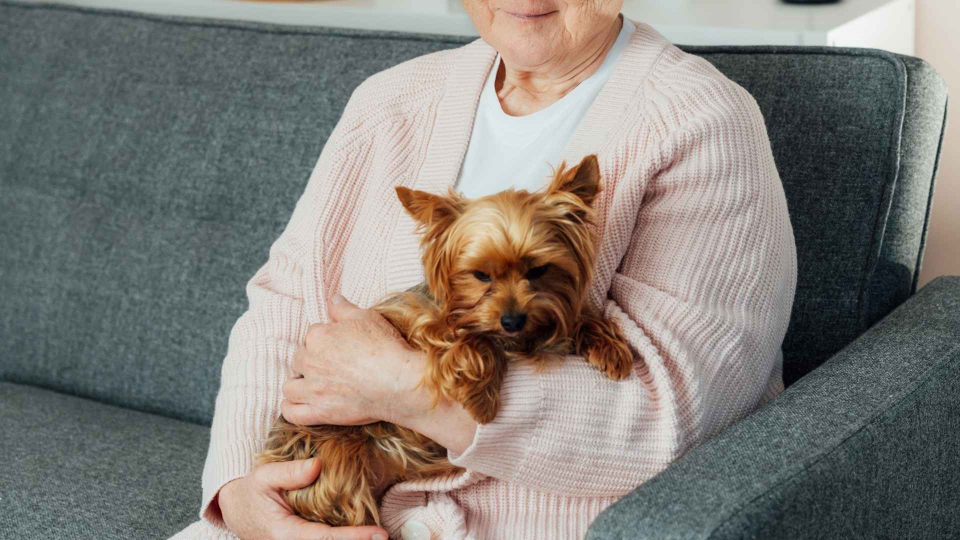 7 Guard Dog Breeds For Older Women Seeking Safety and Peace