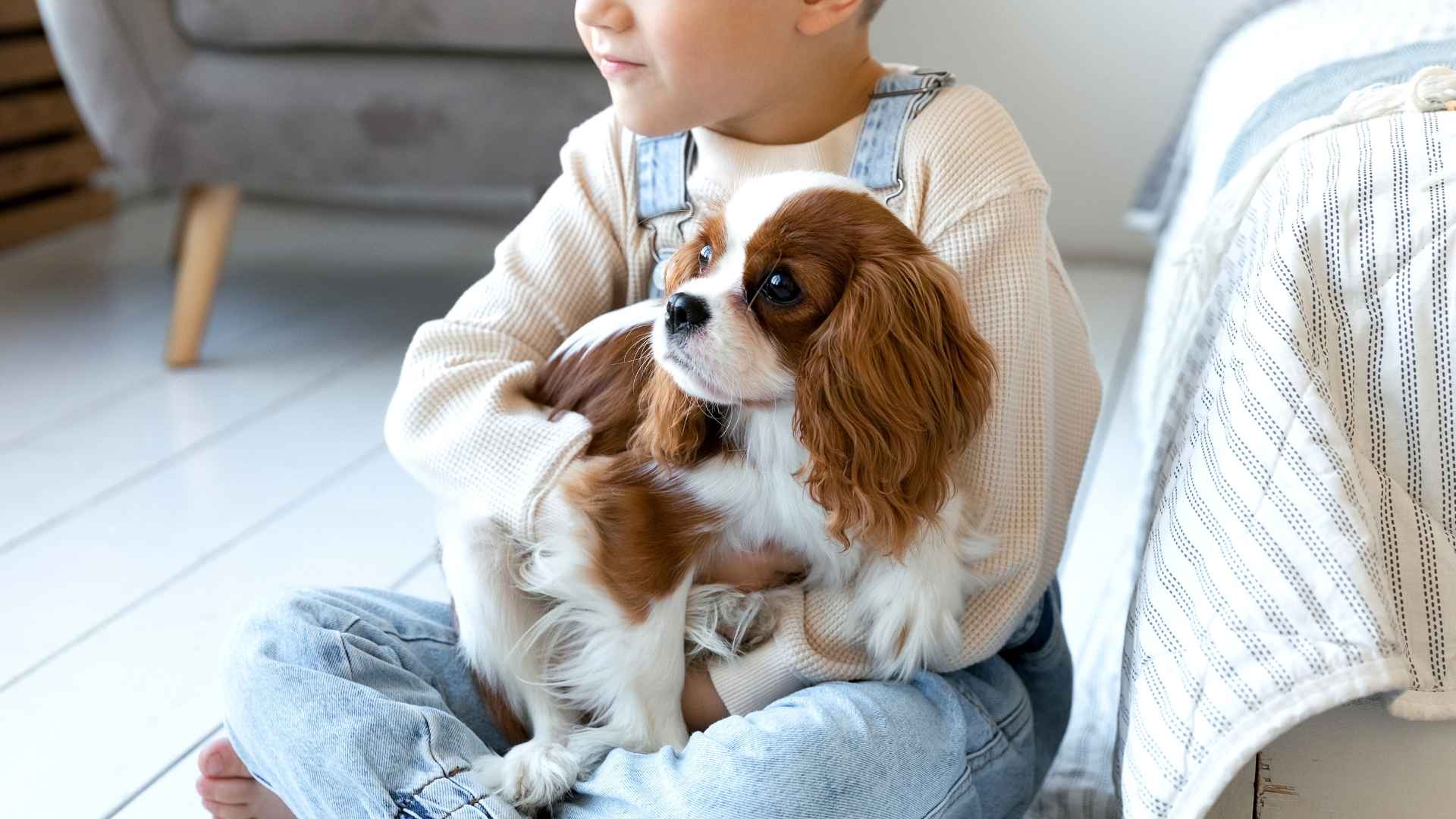 7 Most Child-Tolerant Dog Breeds to be Your Kids' Besties