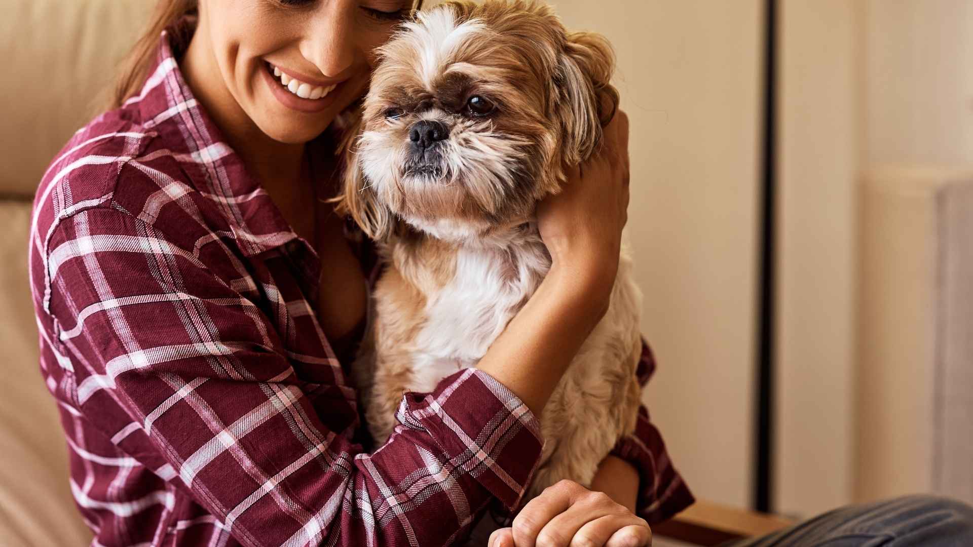 7 Most Low-Maintenance Emotional Support Dog Breeds