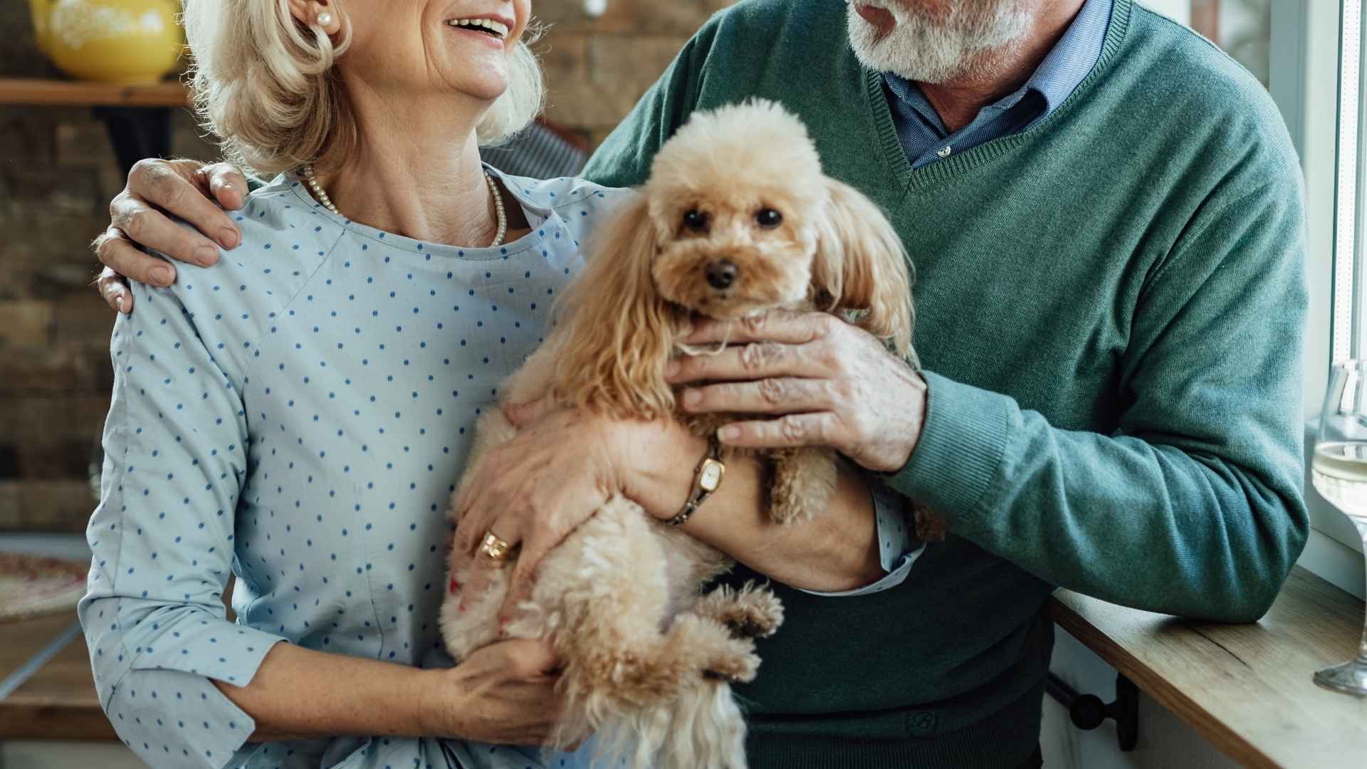 7 Most Peaceful Dog Breeds for Elderly Couples to Enjoy Life Together