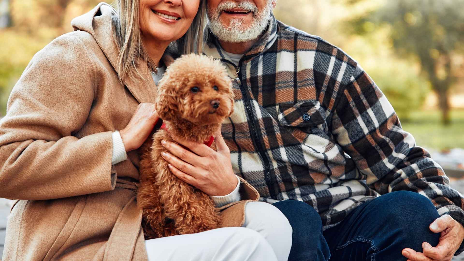 7 Most Sensitive Dog Breeds for Elderly Couples: Perfect for 2nd Innings