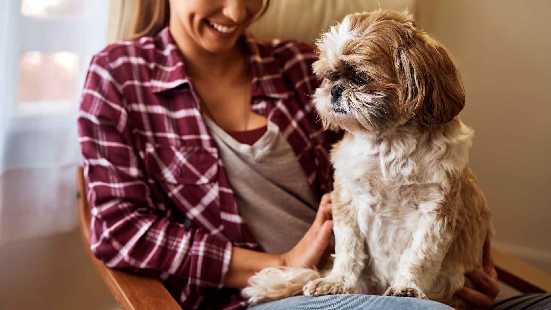 7 Quiet Dog Breeds For First-Time Owners: Easy, Calm, and Full of Love