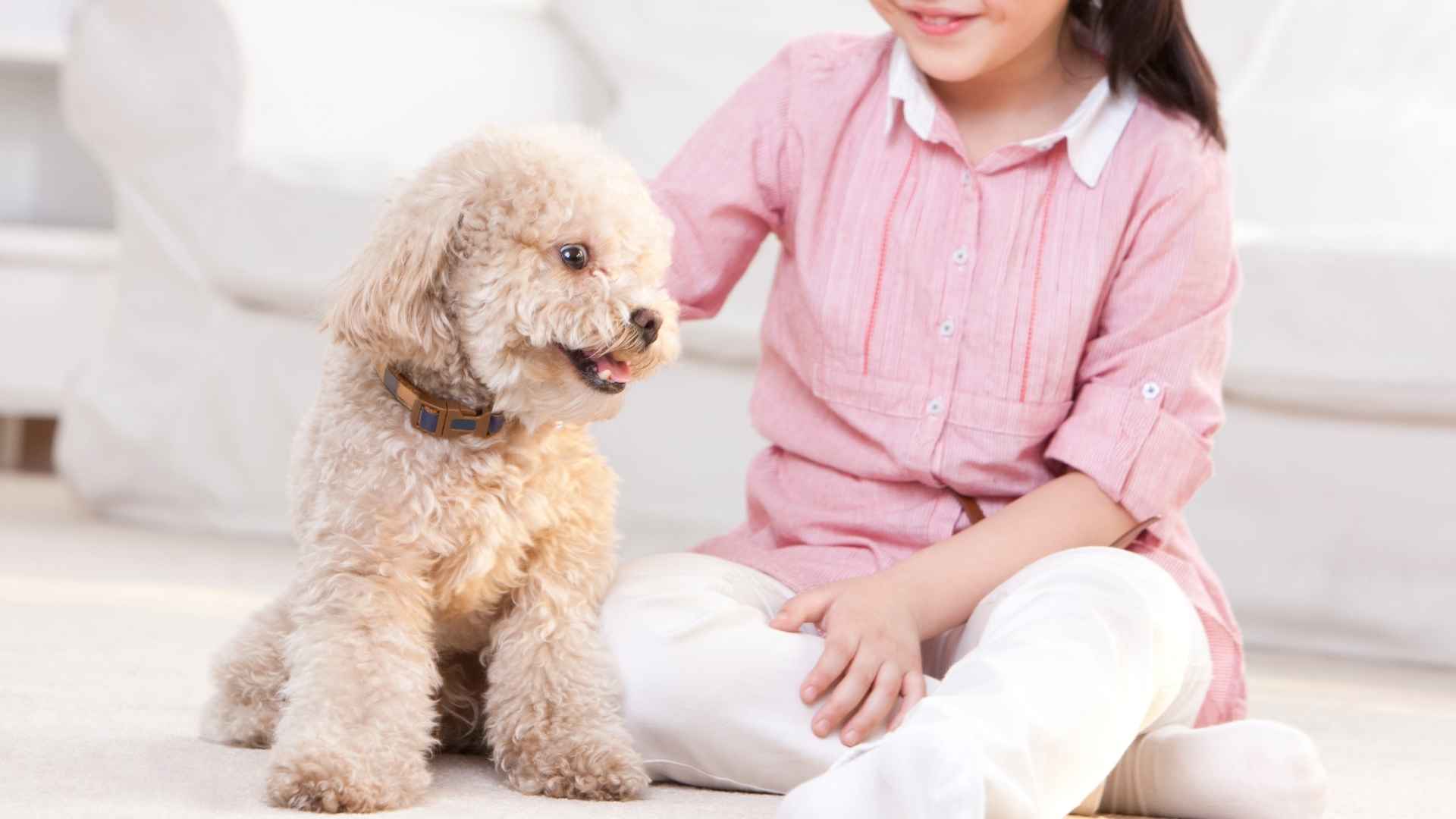9 Best Dog Breeds for a Child with Autism That Offer Comfort and Support