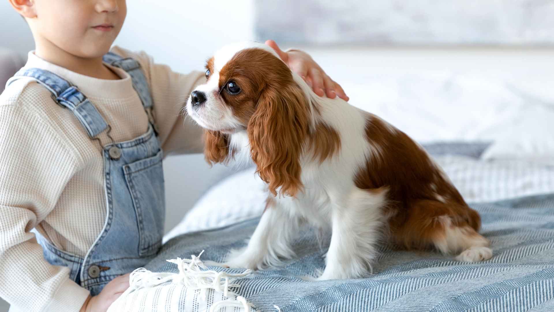 9 Best Kid-Friendly Dog Breeds Parents Swear By