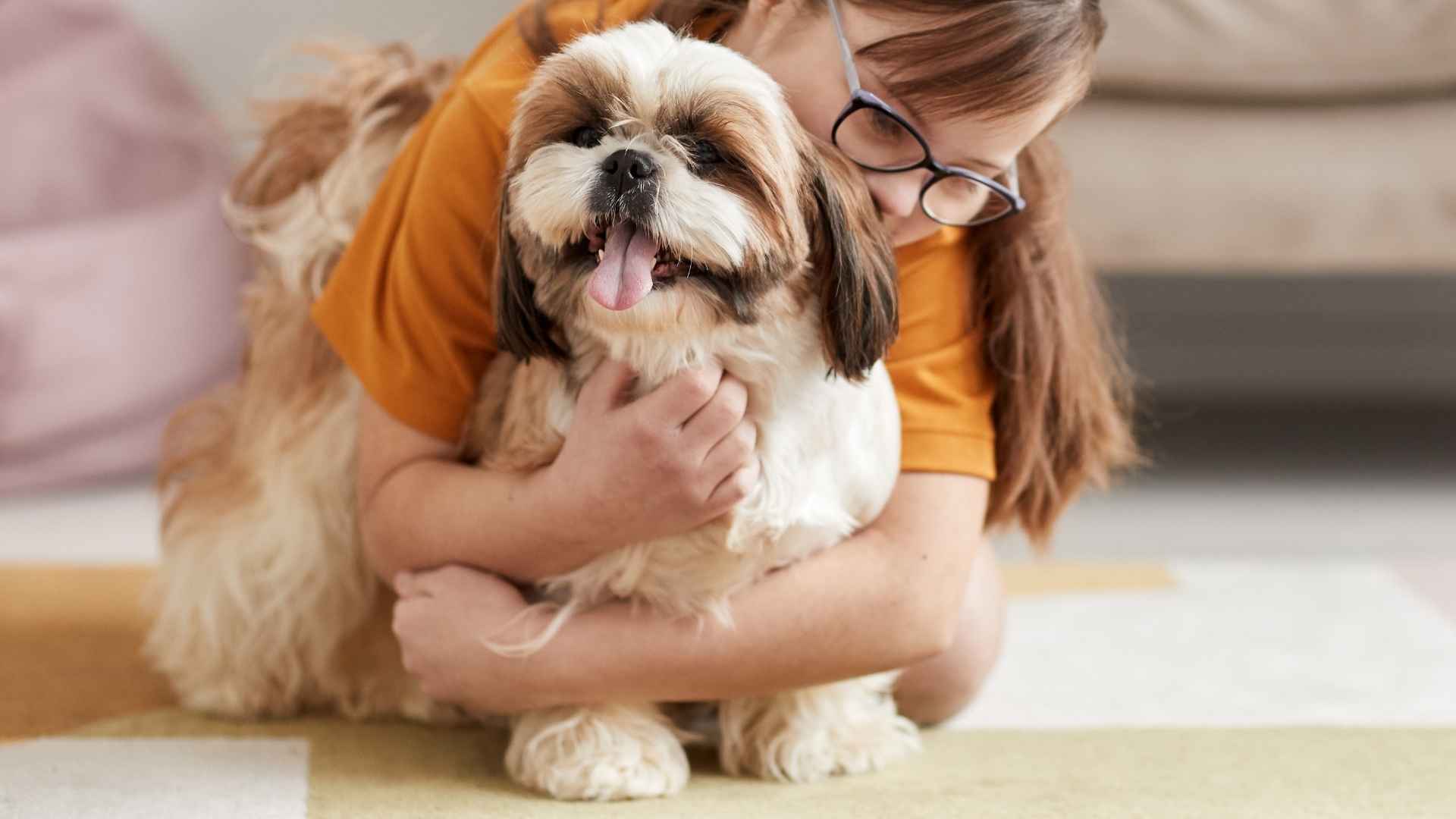 9 Best Tender-Hearted Dog Breeds: Warm Hearts and Wagging Tails